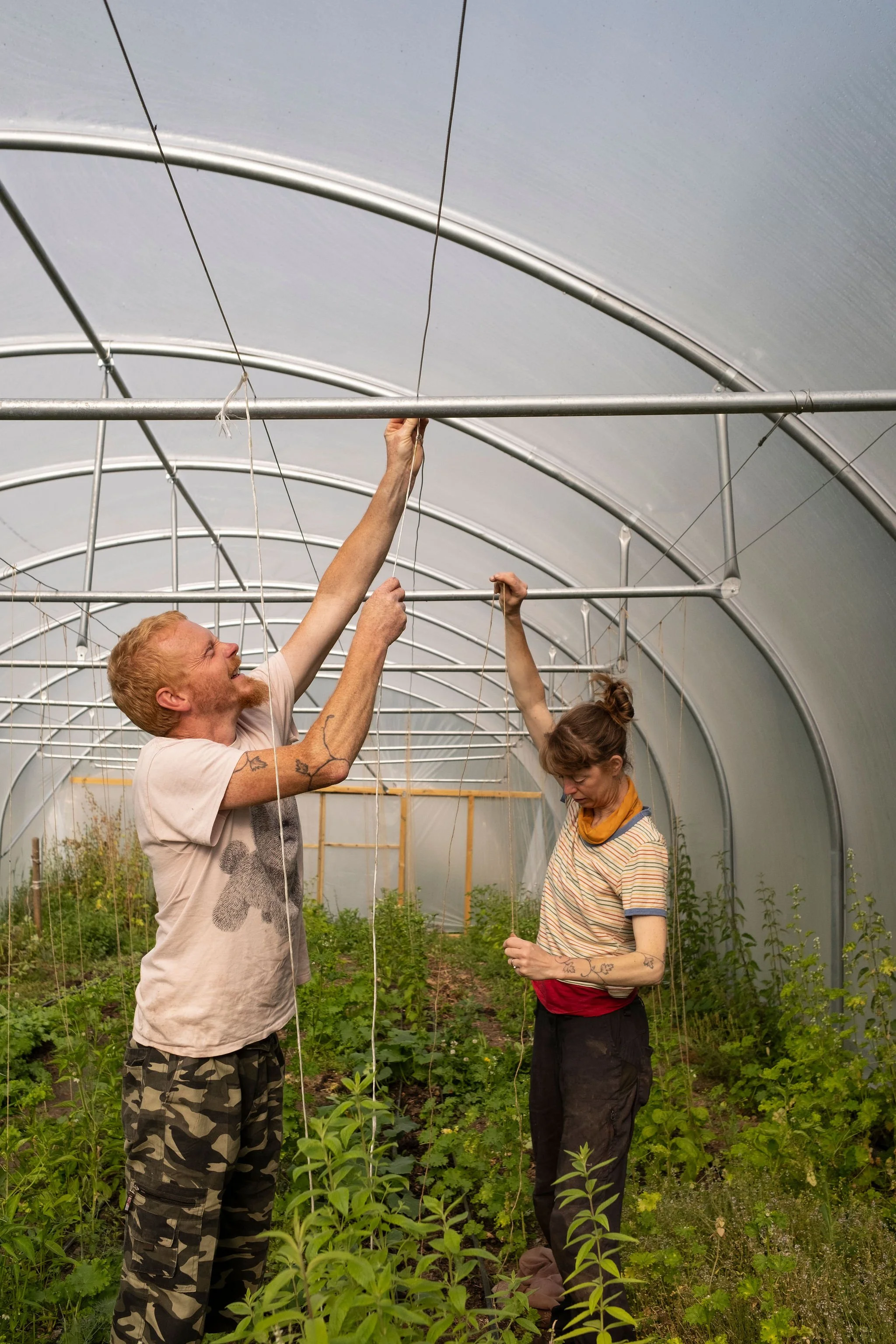Permaculture: Photography for Pingle Produce, Wirksworth. 