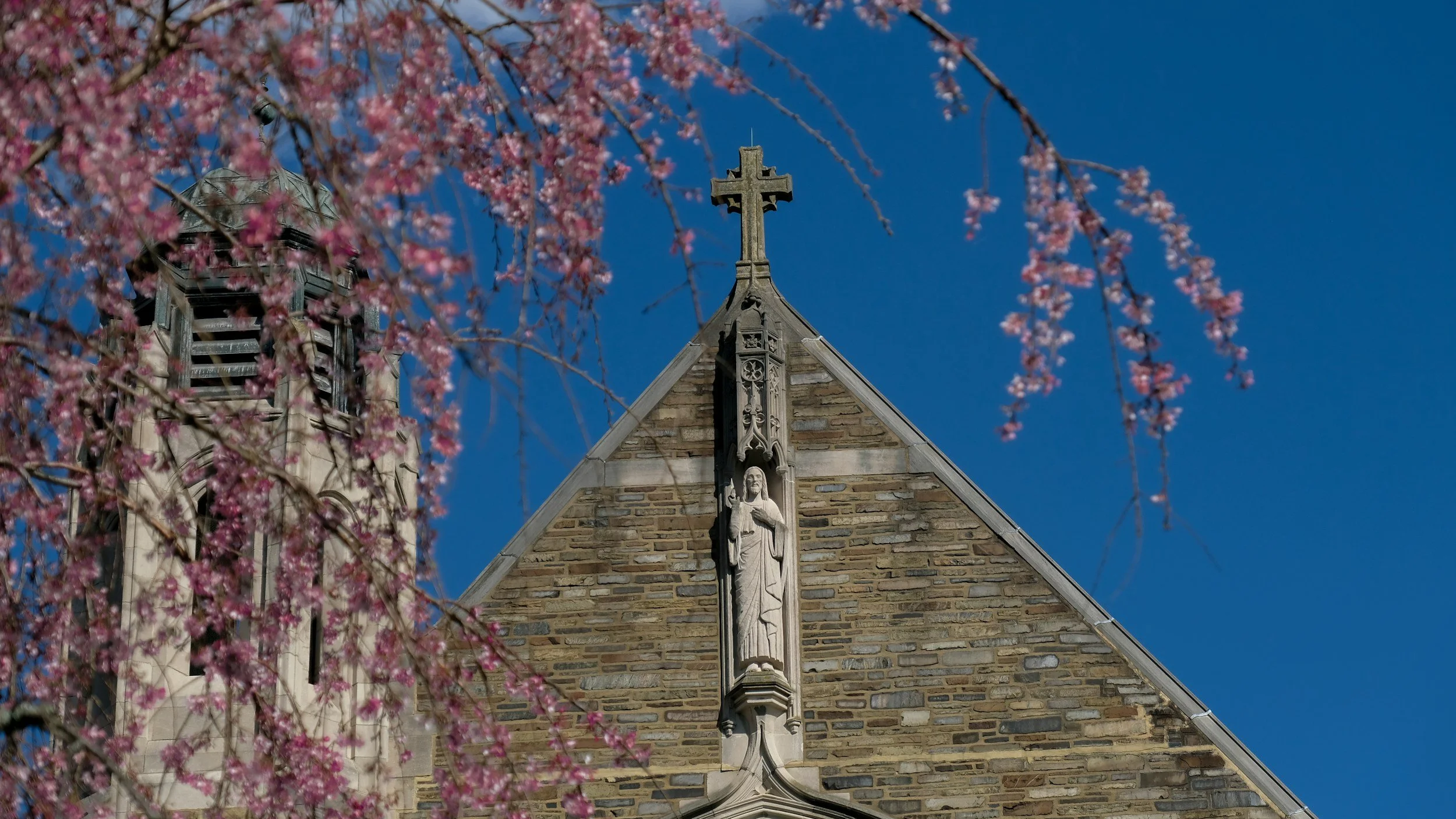 Capital Campaigns for Catholic Organizations