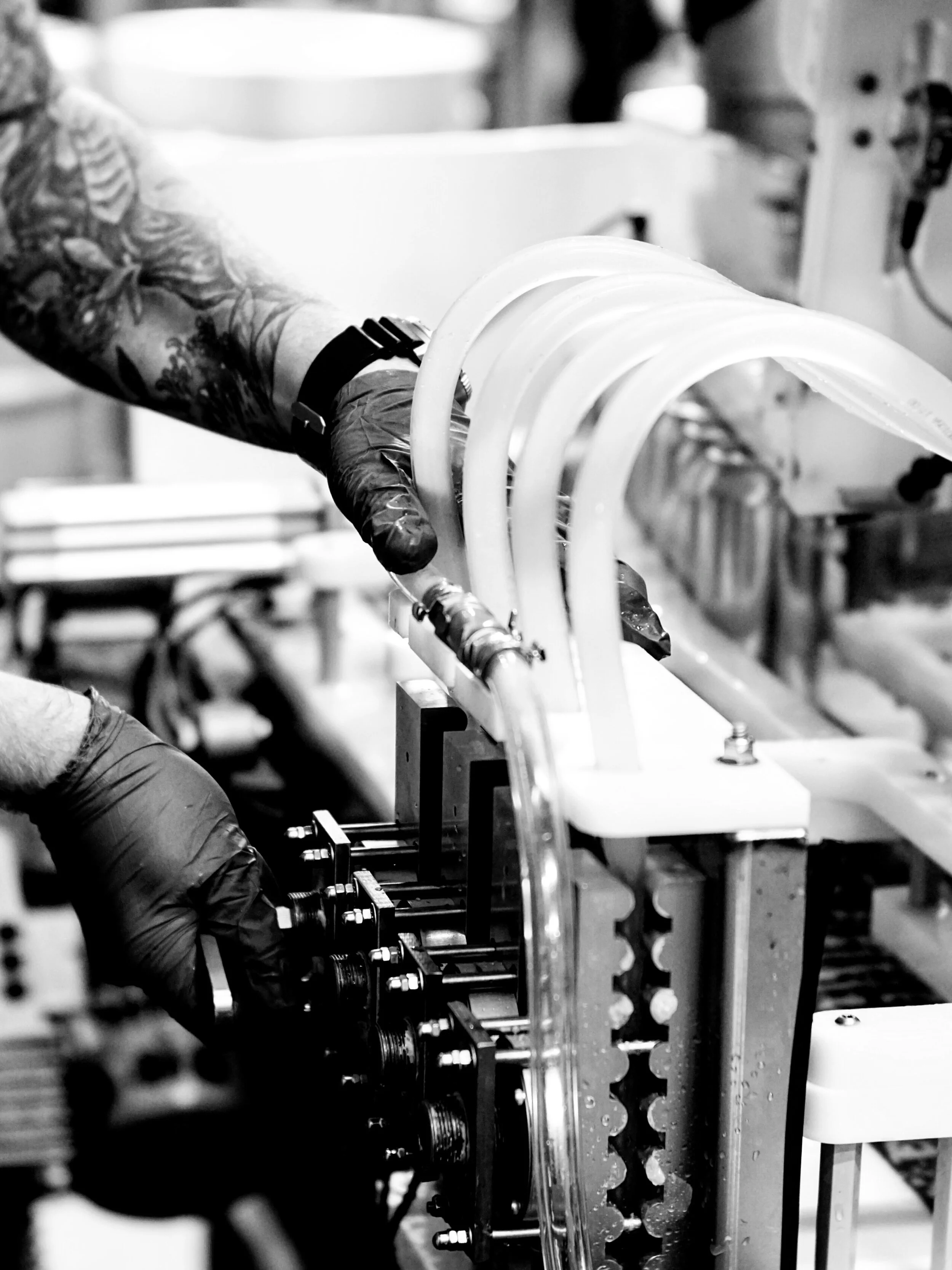   Canning line at Twin Sails Brewing, Port Moody, Canada  