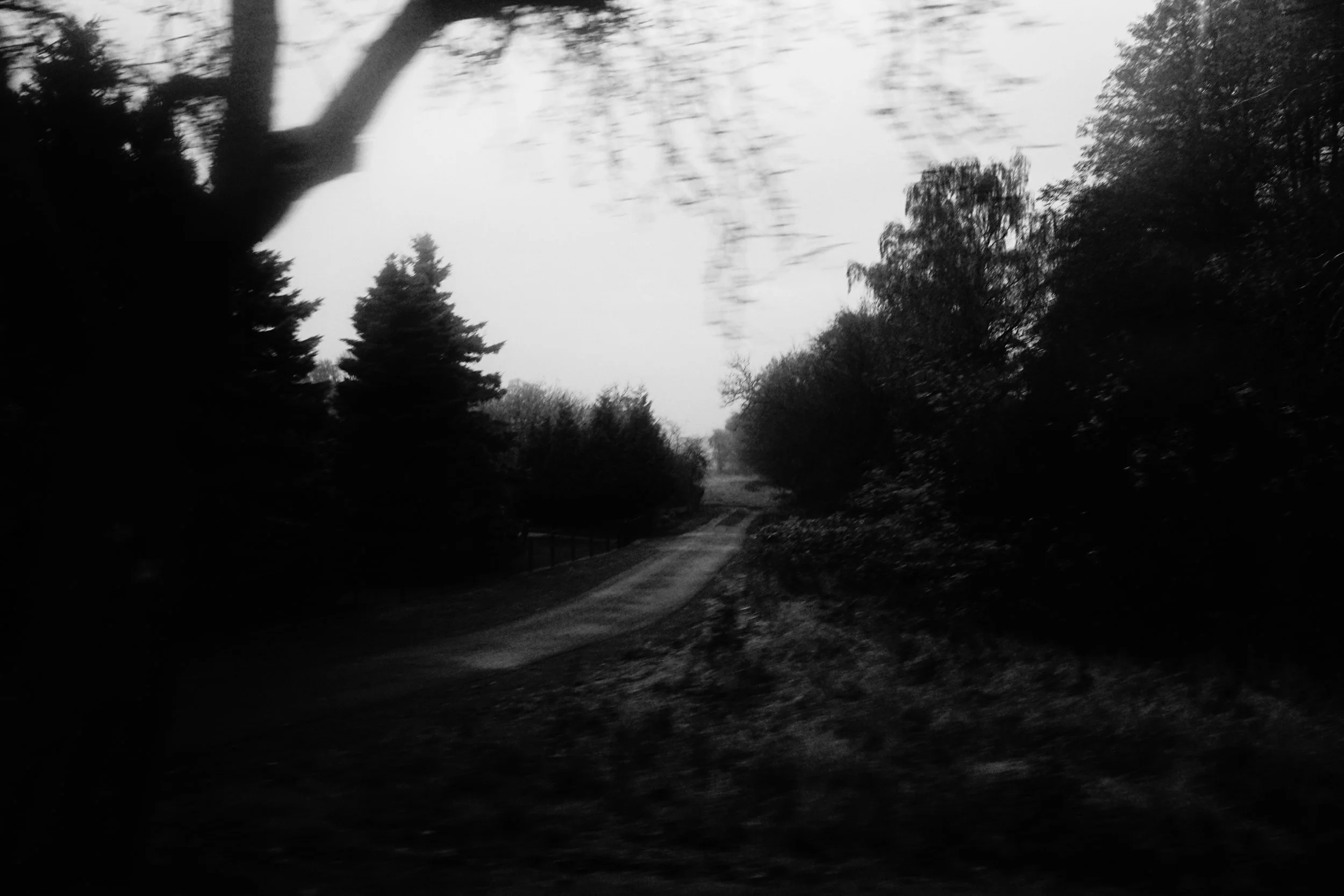   Dirt road from a moving train, Niedersachsen, Germany  November 2025 