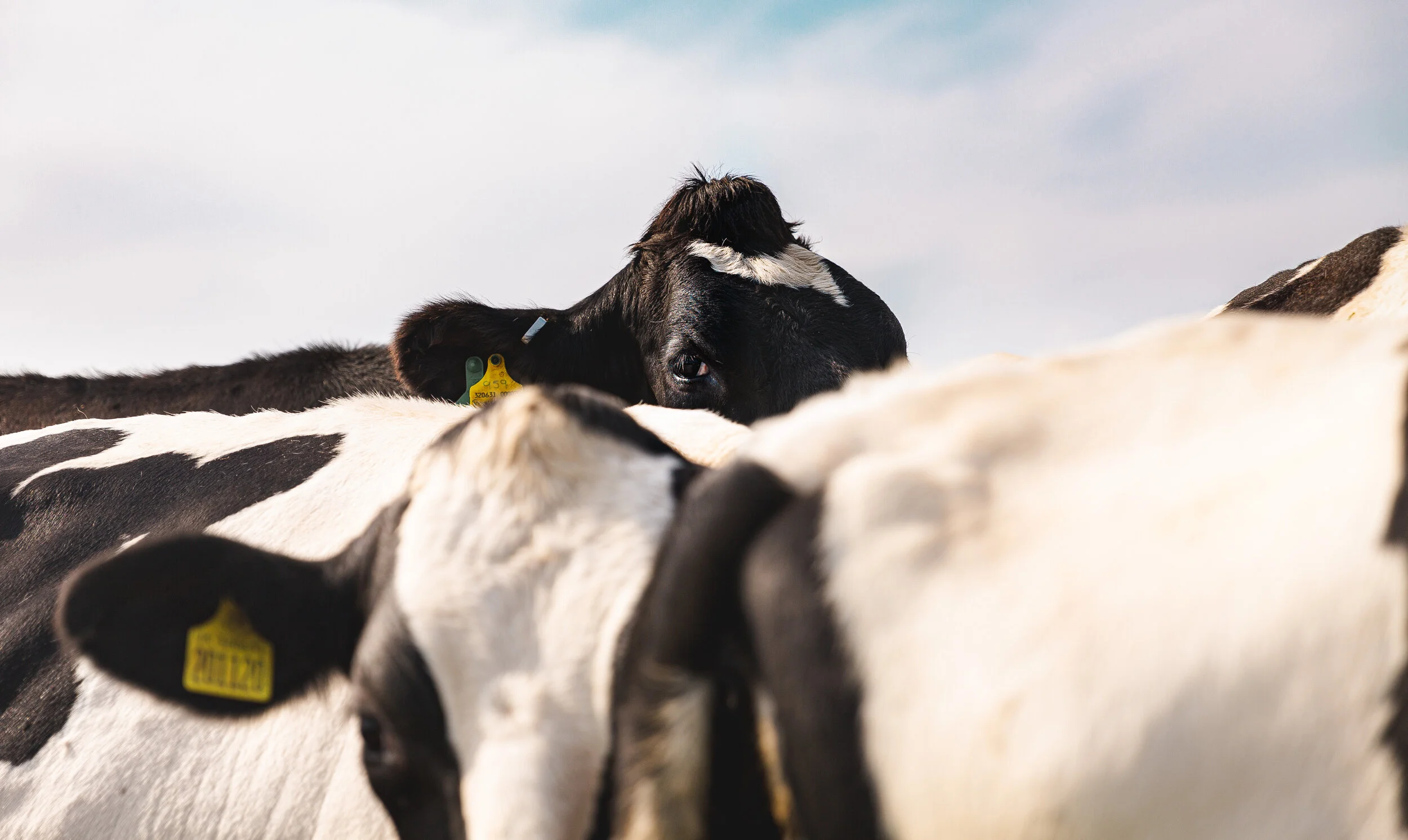 About — Hanley Farm Shop