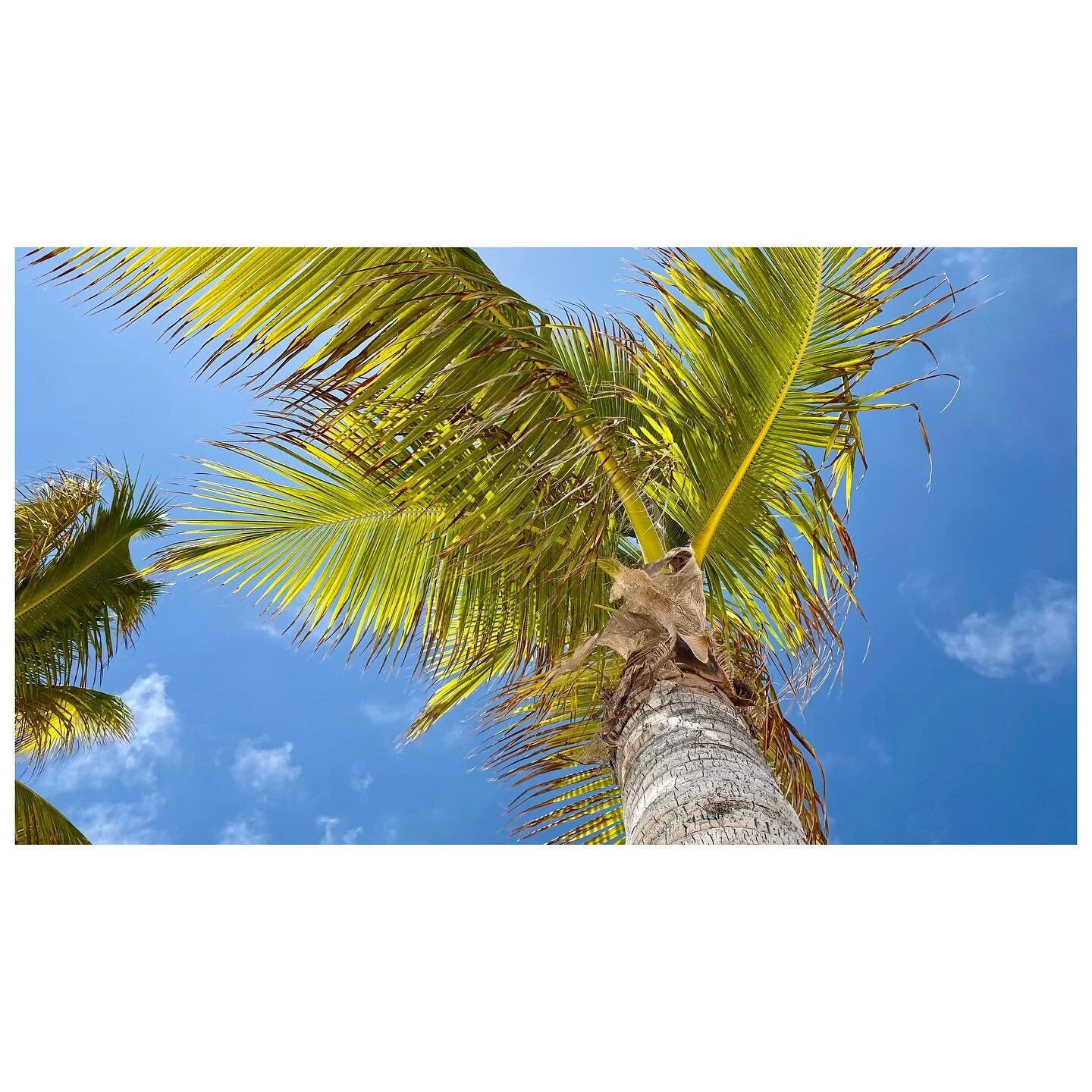 . 
.
.
.
.
.
.

#travelphotography #ocean 
#nature #photos #instagood #lensculture  #camera #photoshoot #like #candid #magazine #artist #instalike  #contemporaryphotography  #instadaily #wanderlust  #beautiful #captures  #500px #flickr #travel