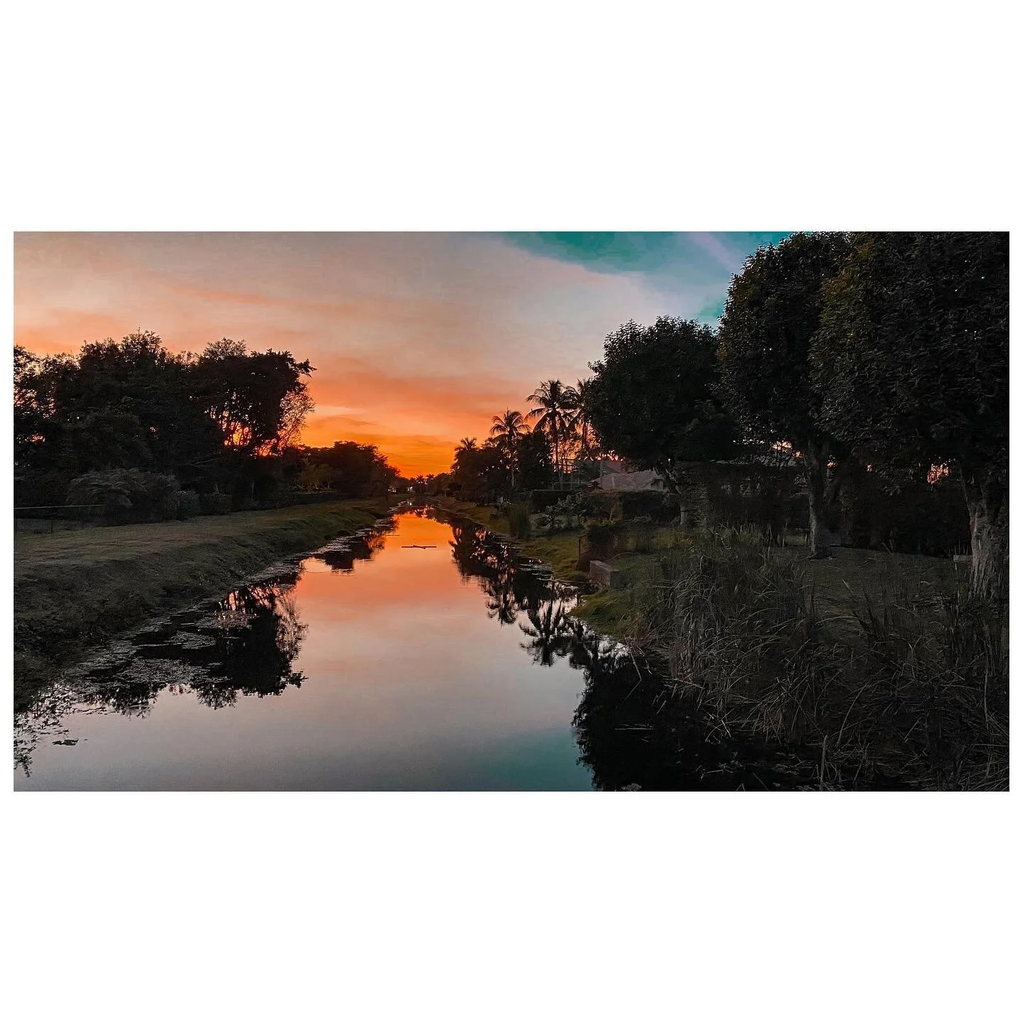 Florida Colors. 
.
.
.
.
.
.

#travelphotography #dawn 
#nature #photos #instagood #lensculture  #camera #photoshoot #like #candid #magazine #artist #instalike  #contemporaryphotography  #instadaily #wanderlust  #beautiful #captures  #500px #flickr #