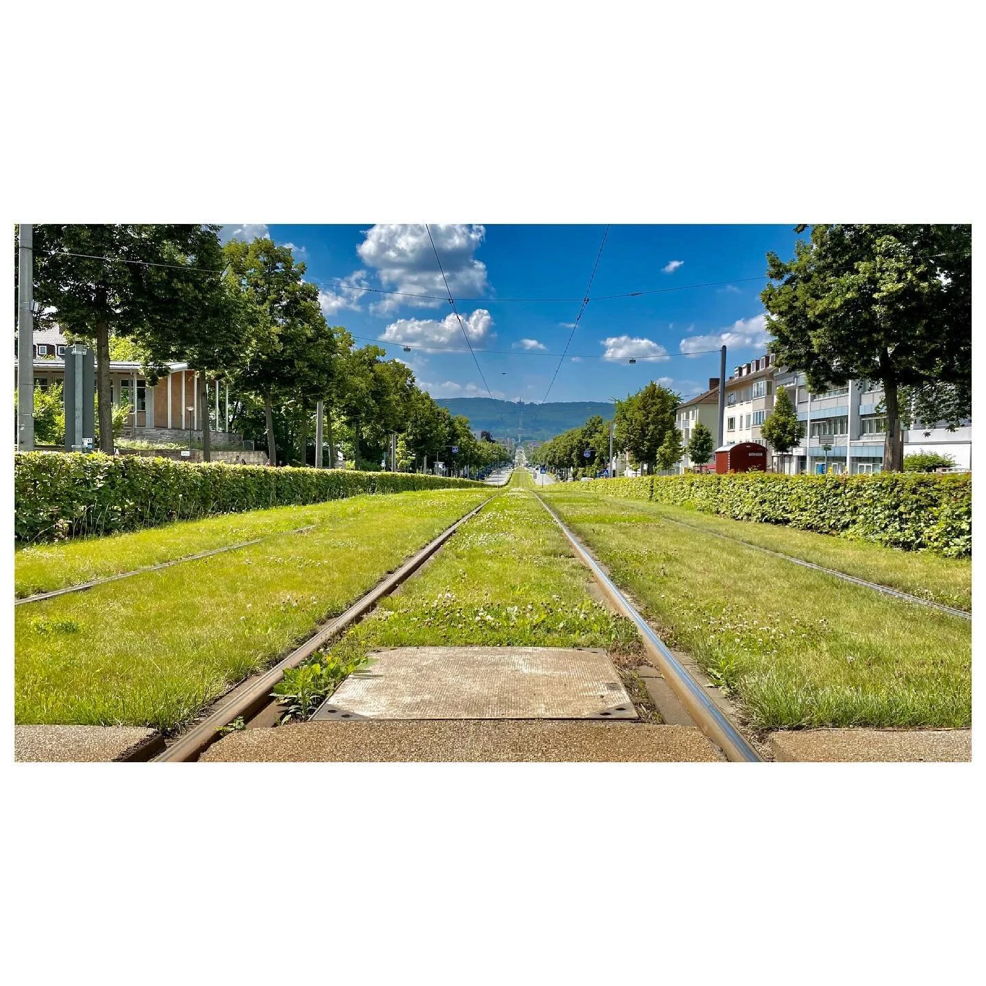 . 
.
.
.
.
.
.

#travelphotography #kassel
#germany🇩🇪 #photos #instagood #lensculture  #camera #photoshoot #like #candid #magazine #artist #instalike  #contemporaryphotography  #instadaily #wanderlust  #beautiful #captures  #500px #flickr #travel