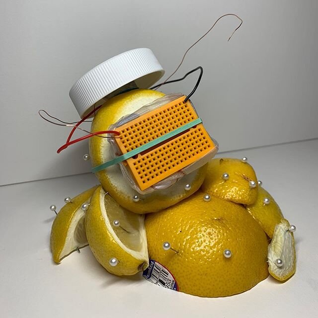 THE LEMON THAT STARTED IT ALL 
Lemons + some electronic scraps, swipe to see it get moldy 👾, sound up for a laugh 
Fun facts: 
1. I know nothing about electronics I&rsquo;m just dicking around so don&rsquo;t come at me about how little sense this ma