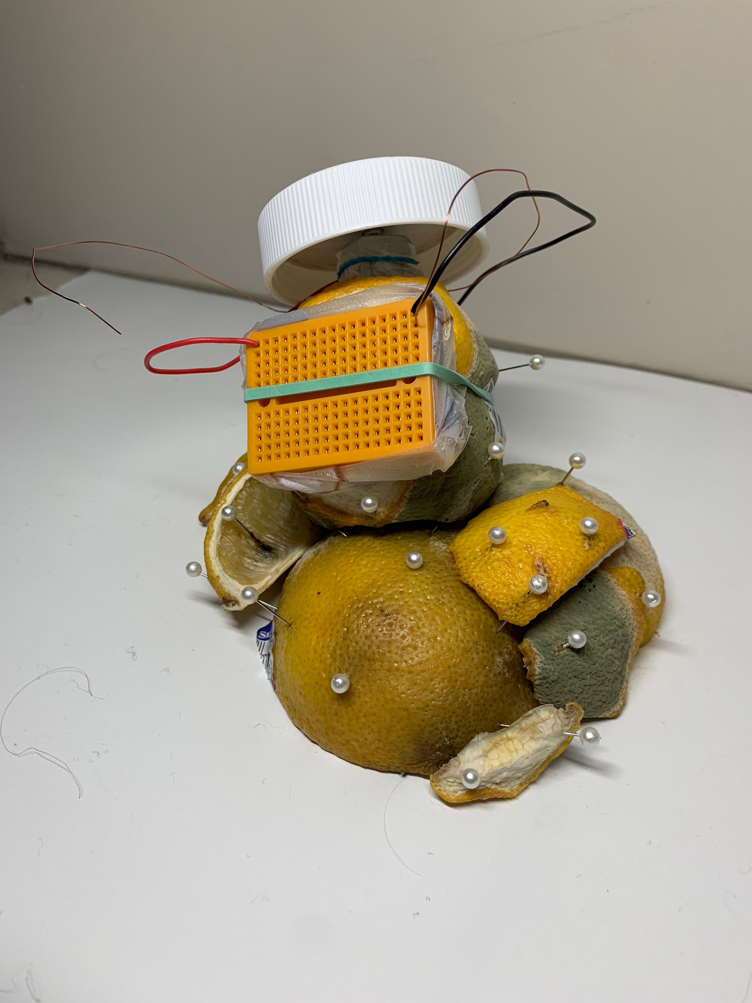The First Lemon (3 Days Later), lemon, wiring components, pins, rubber bands, and found objects, 2018