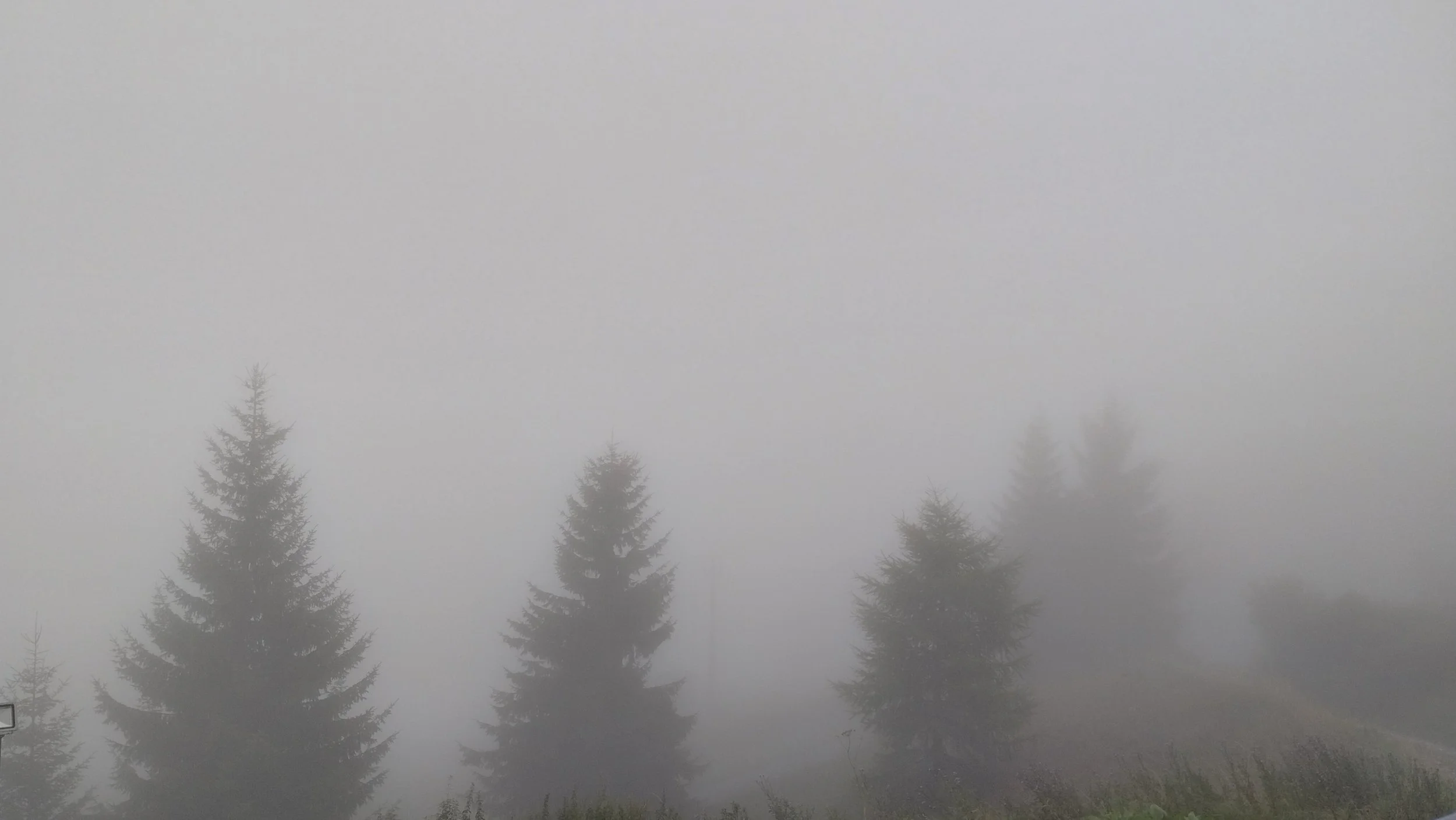 fog.jpg