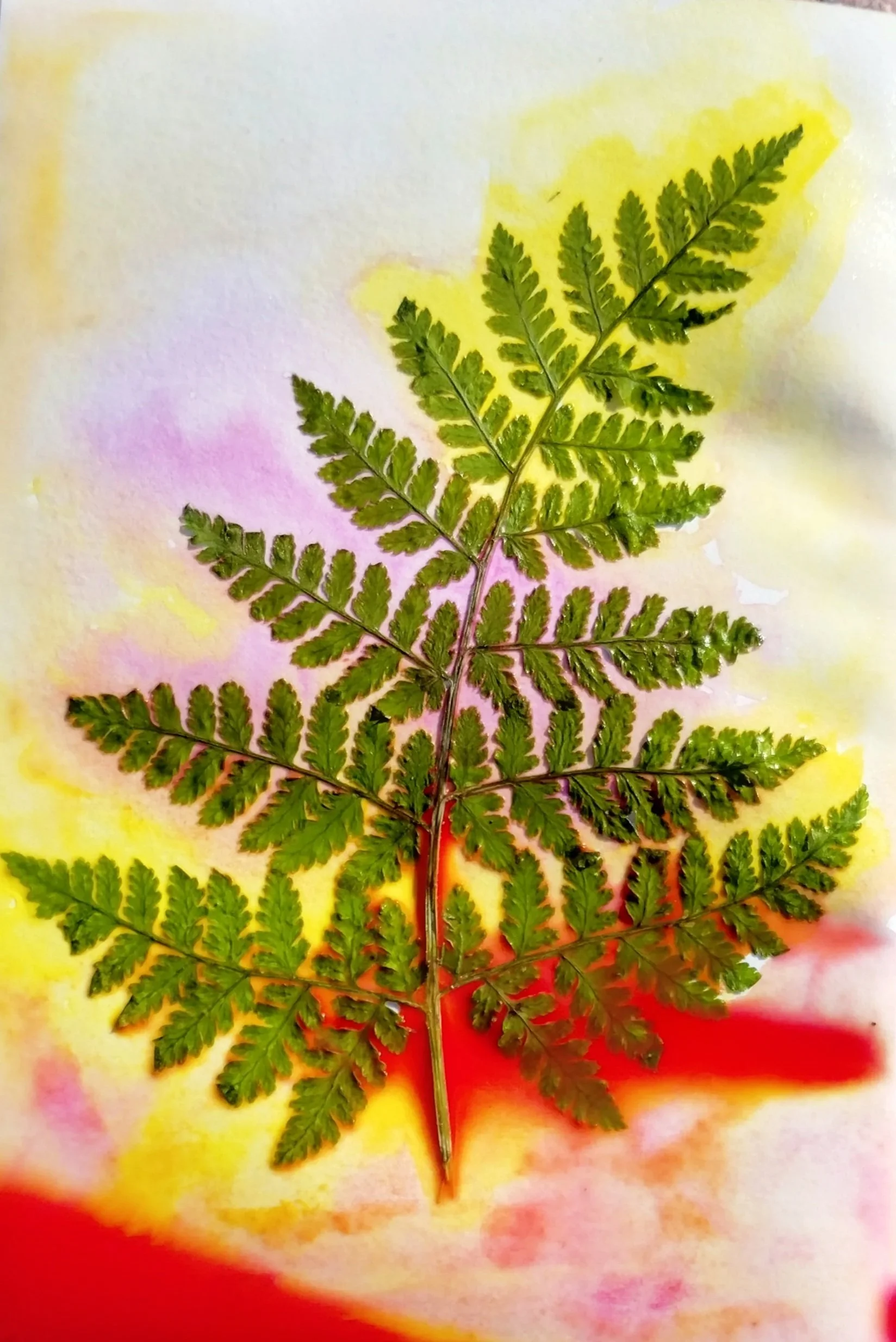 test+print+2.jpg