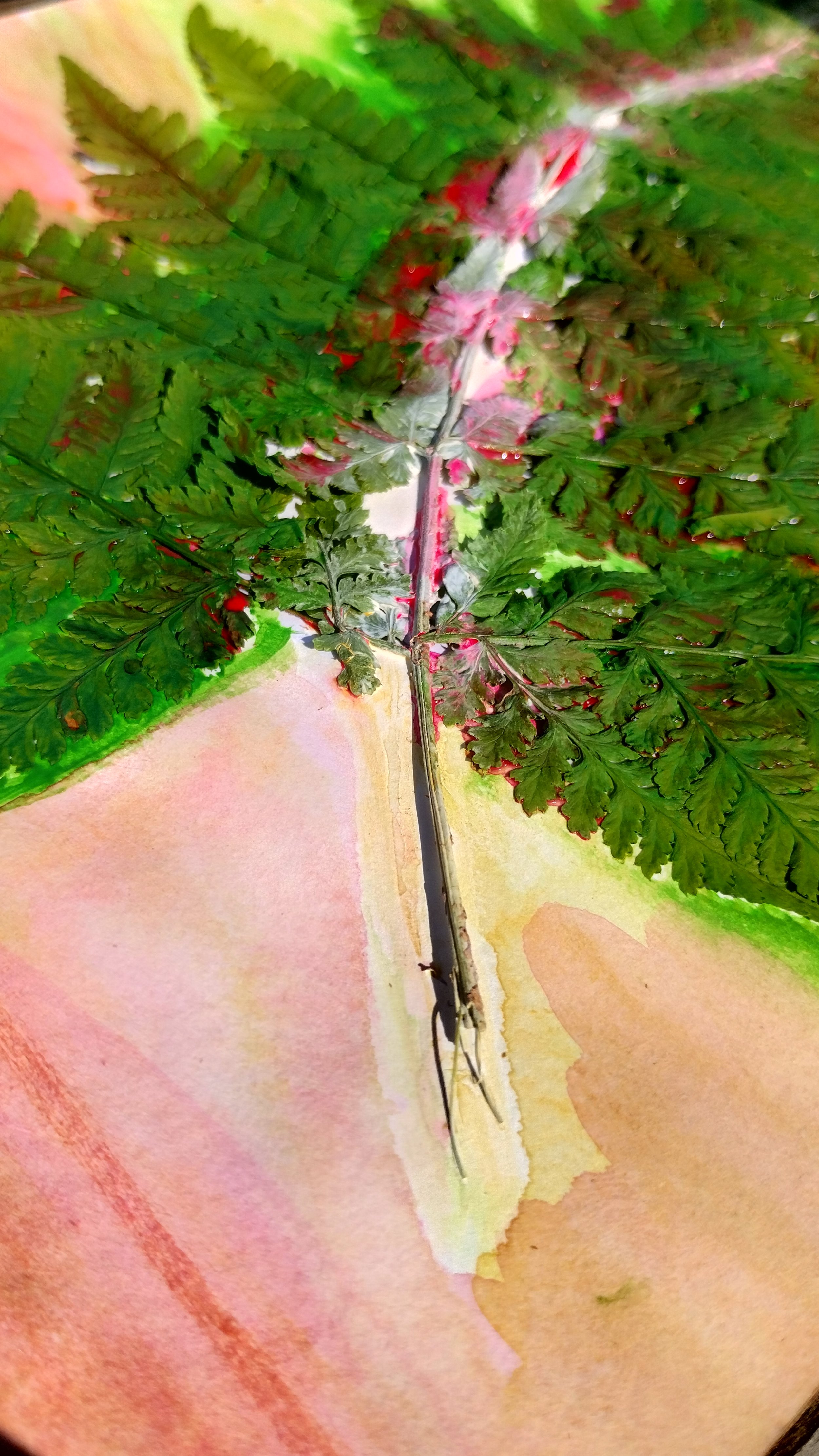 final leaf.jpg
