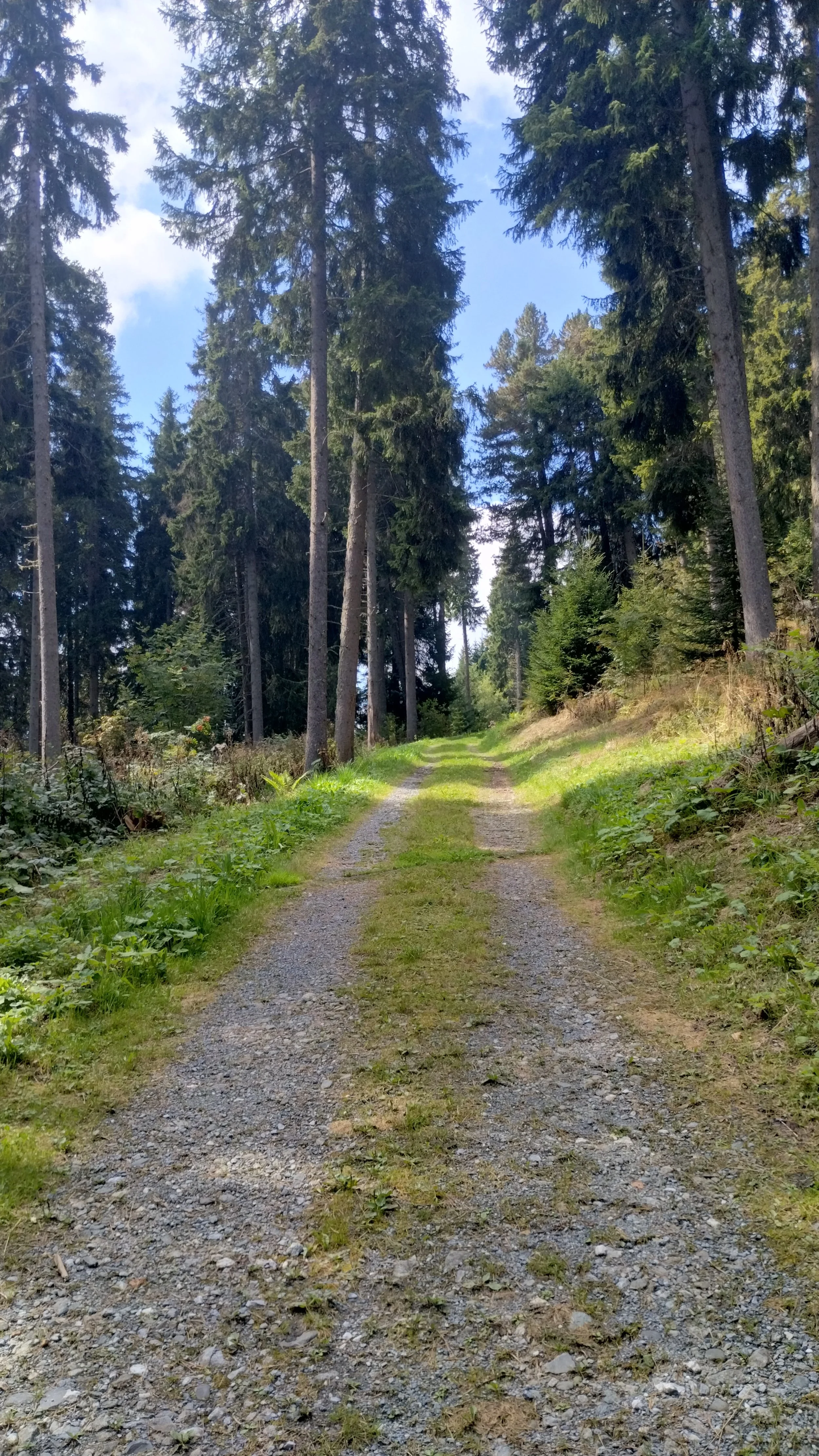 A winding path
