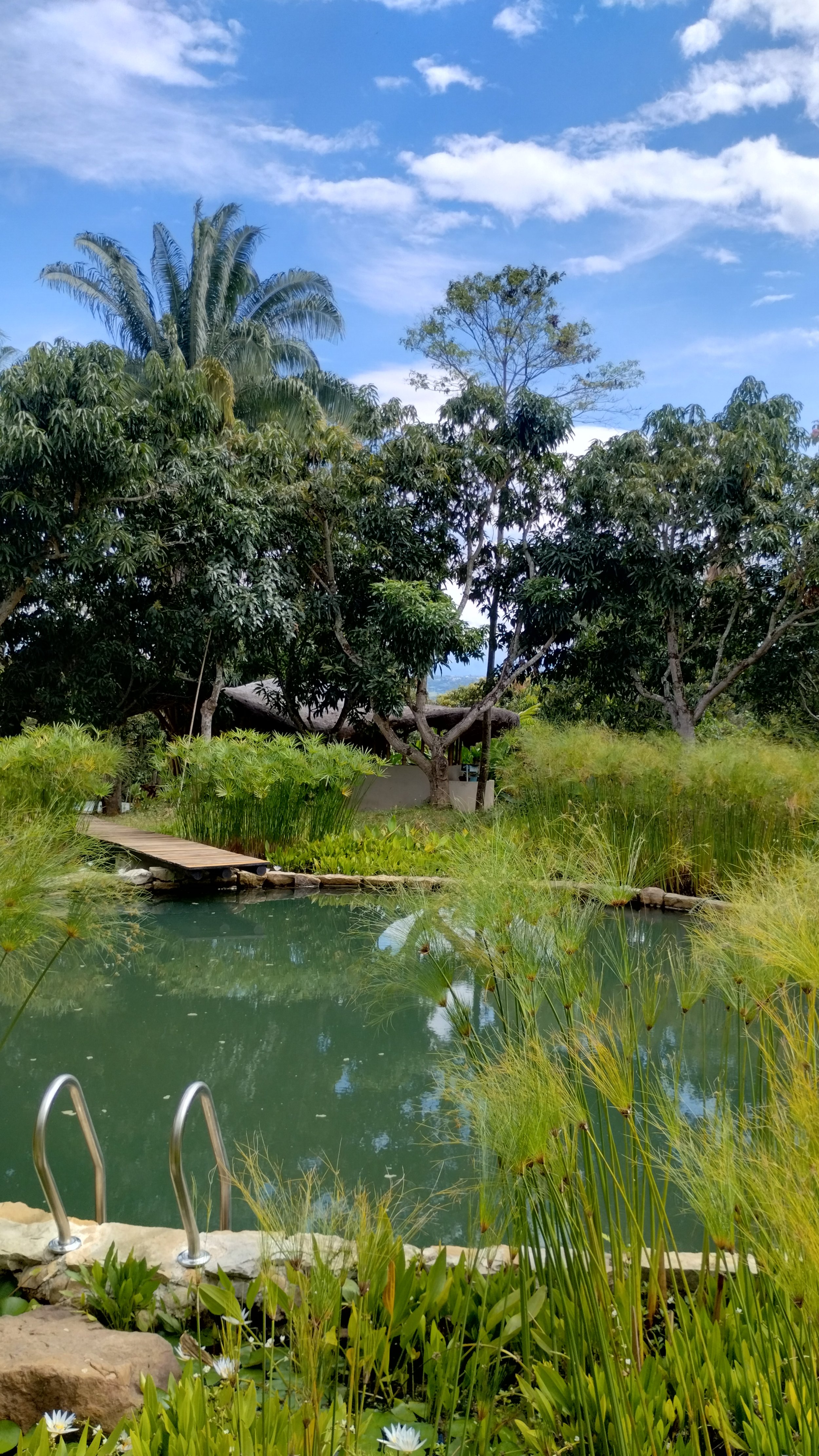 IMG_20250903_093717553_HDR.jpg