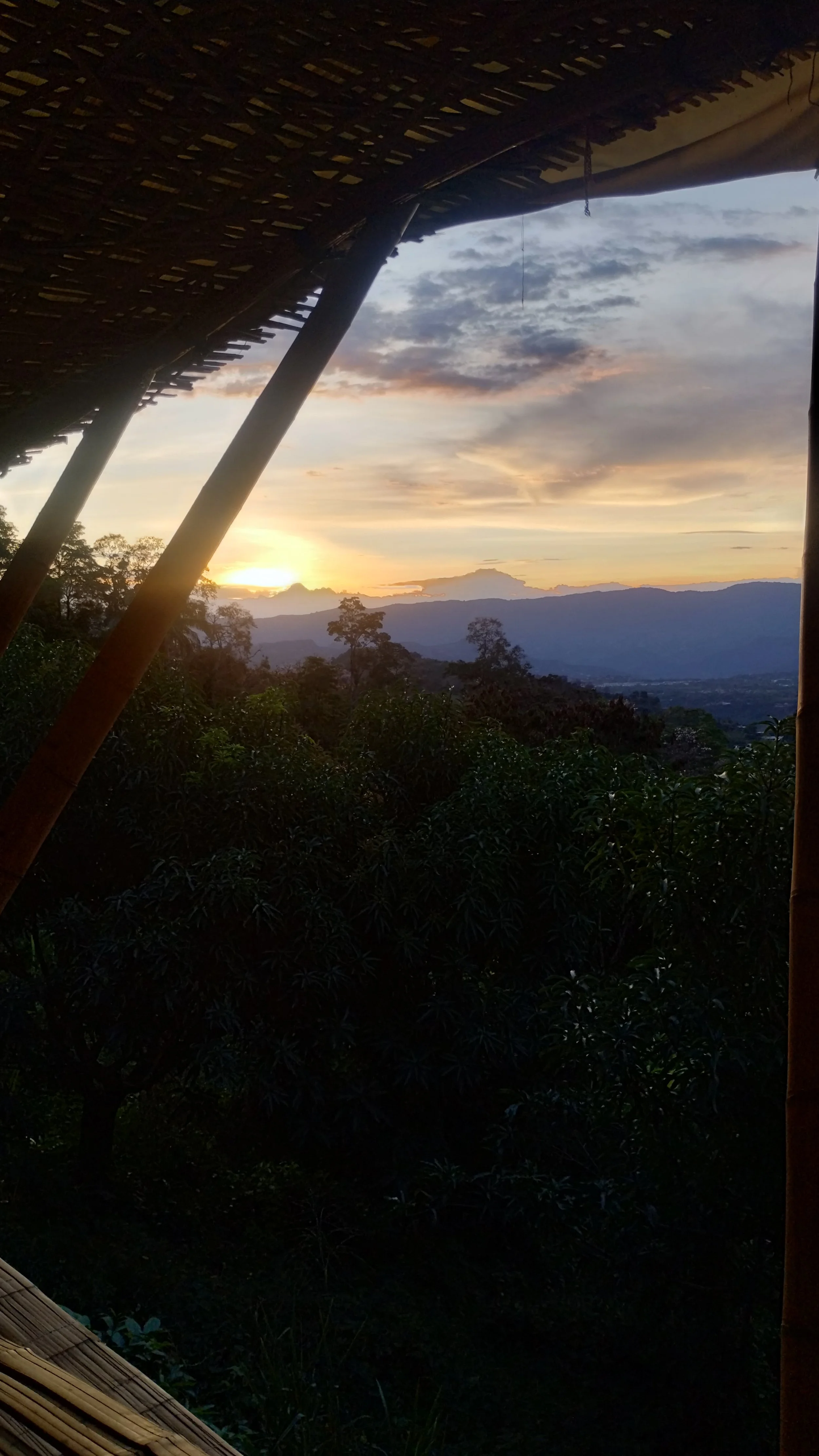 IMG_20250906_175619845_HDR.jpg