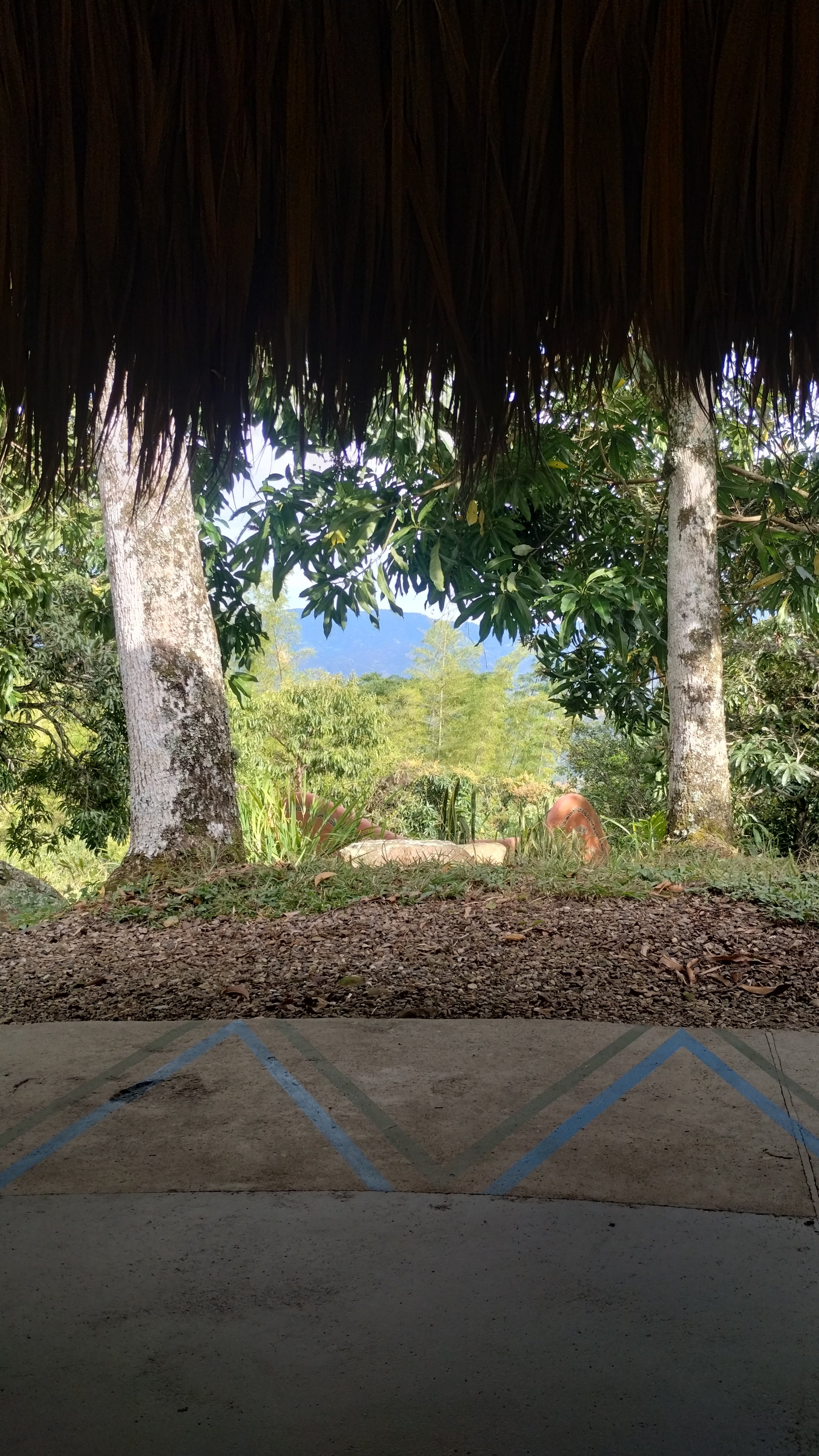 IMG_20250908_080317768_HDR.jpg