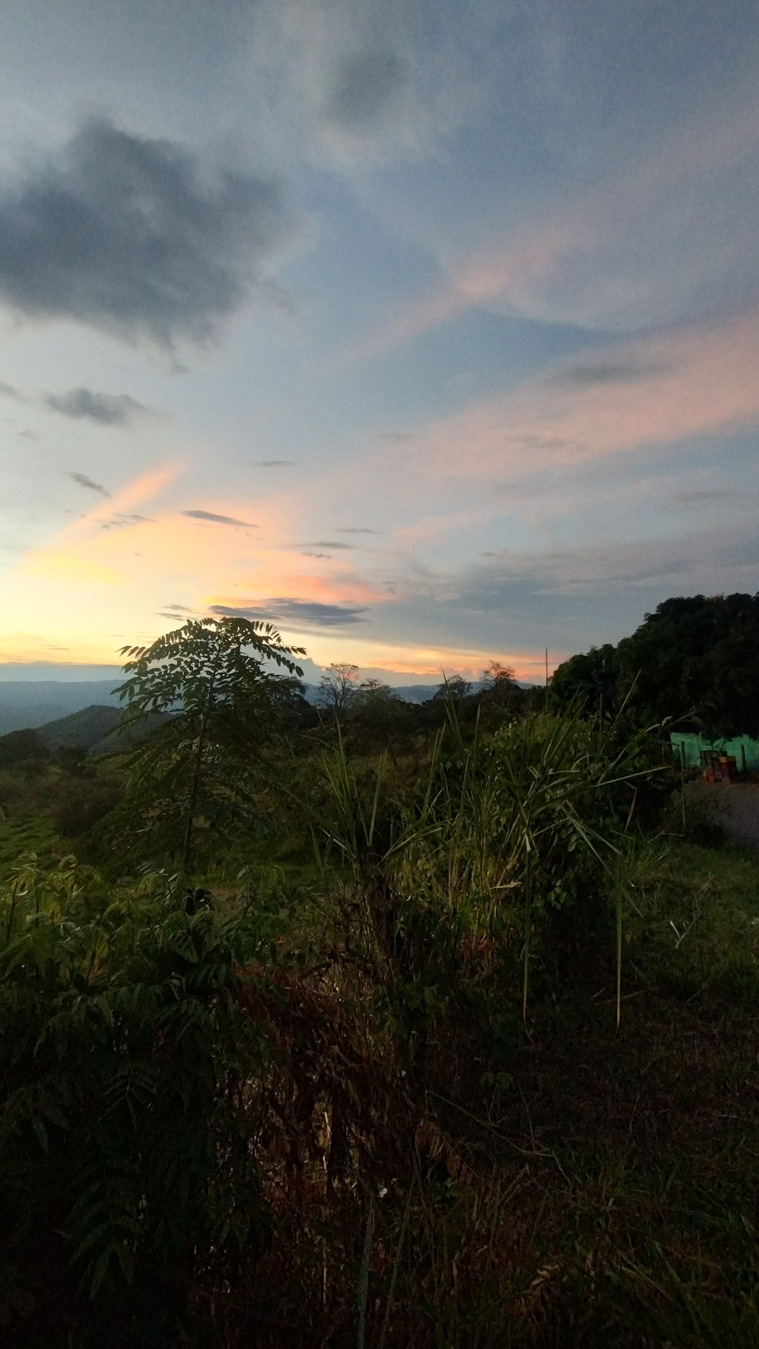 IMG_20250919_180223921_HDR.jpg