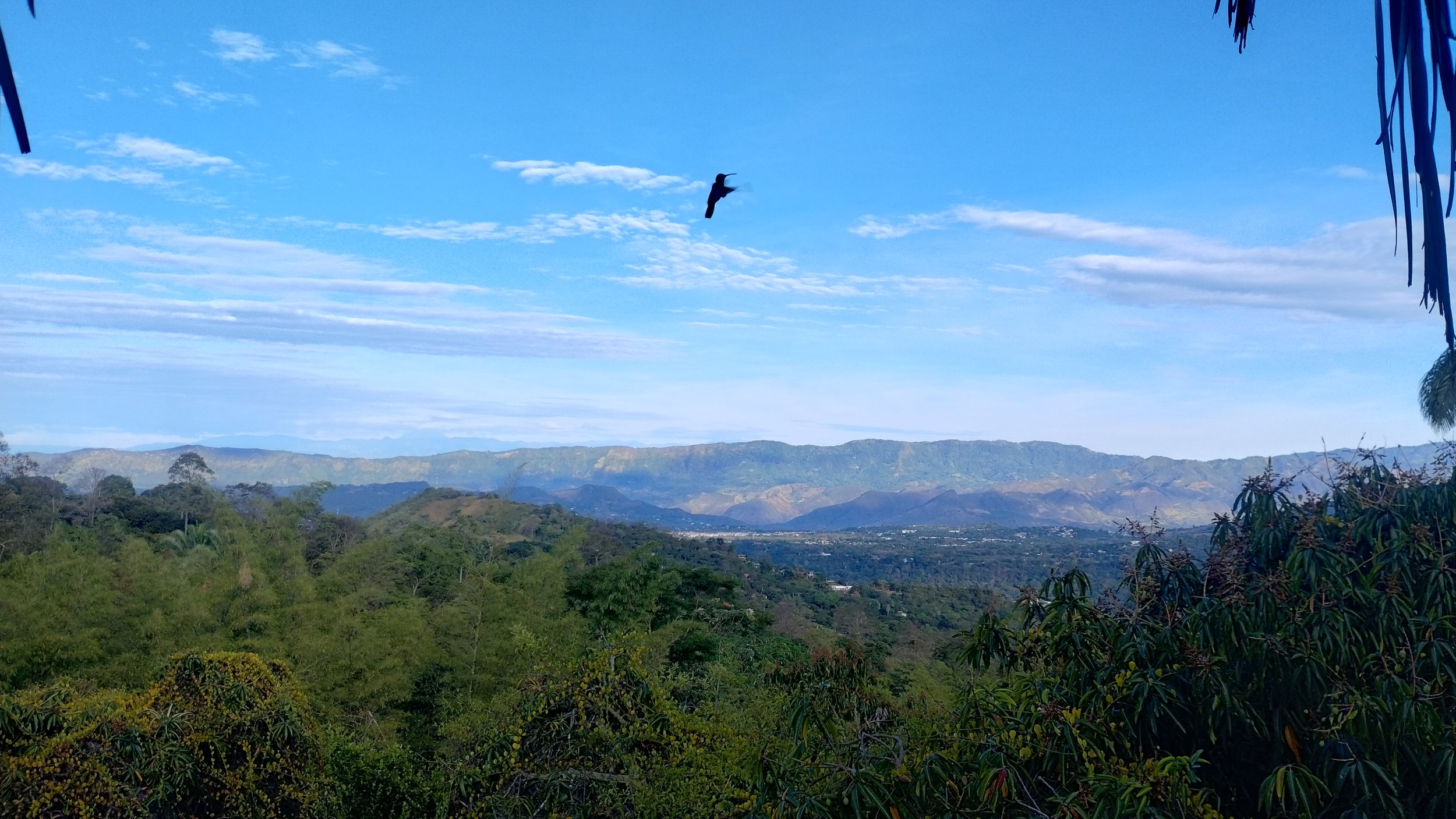 IMG_20250921_065417987_HDR.jpg