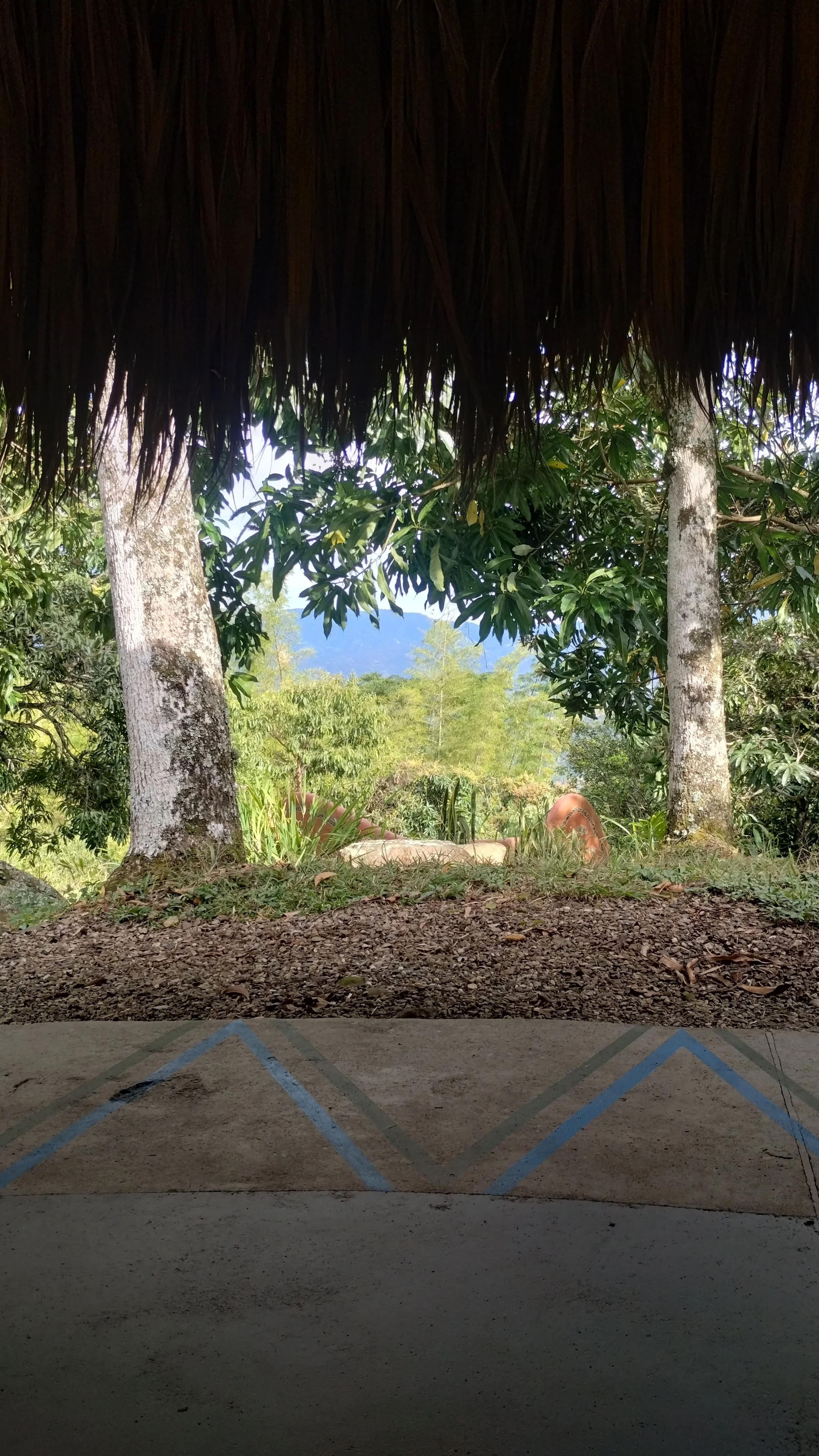 IMG_20250908_080317768_HDR.jpg