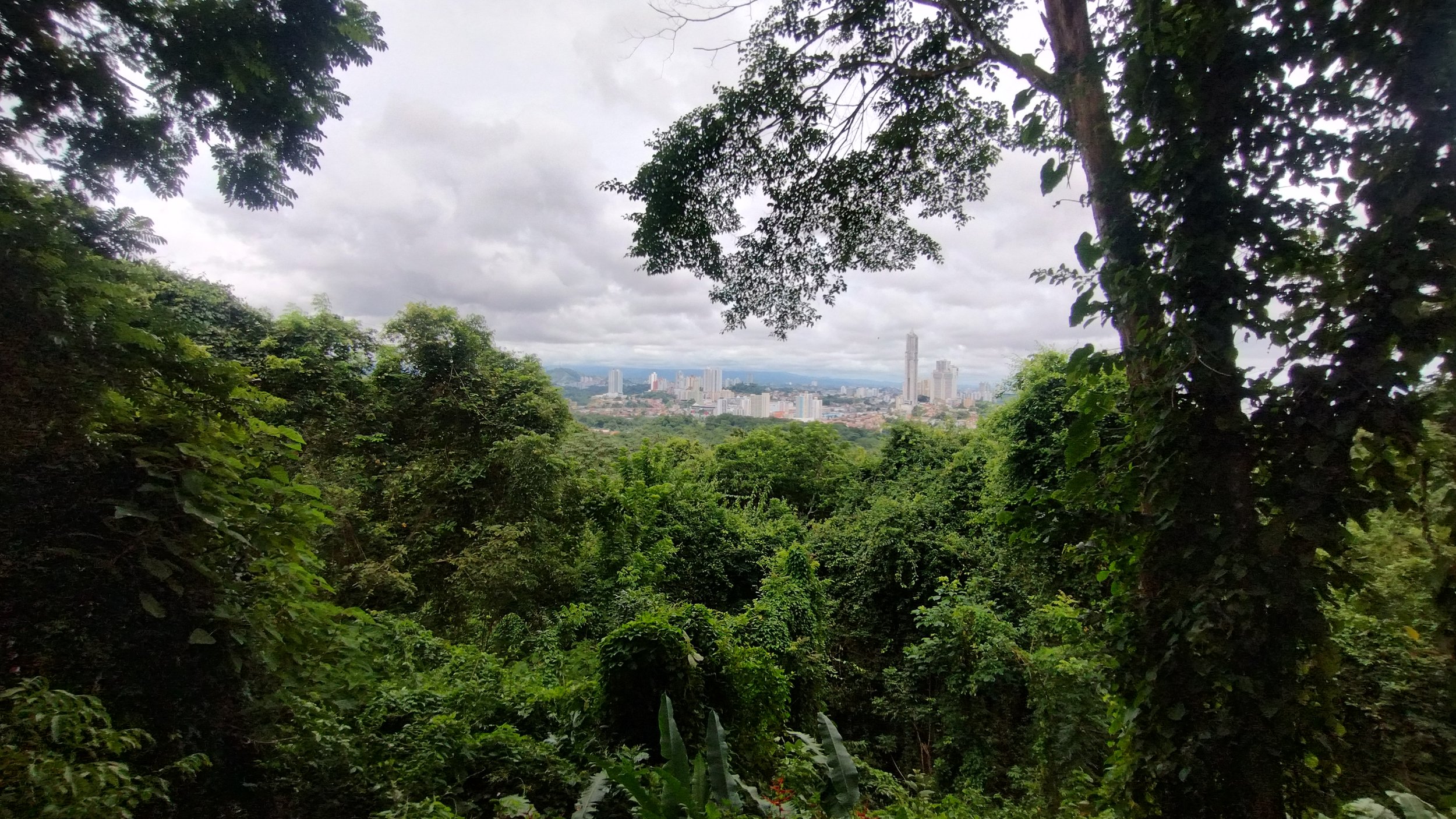 IMG_20251004_130113942_HDR.jpg
