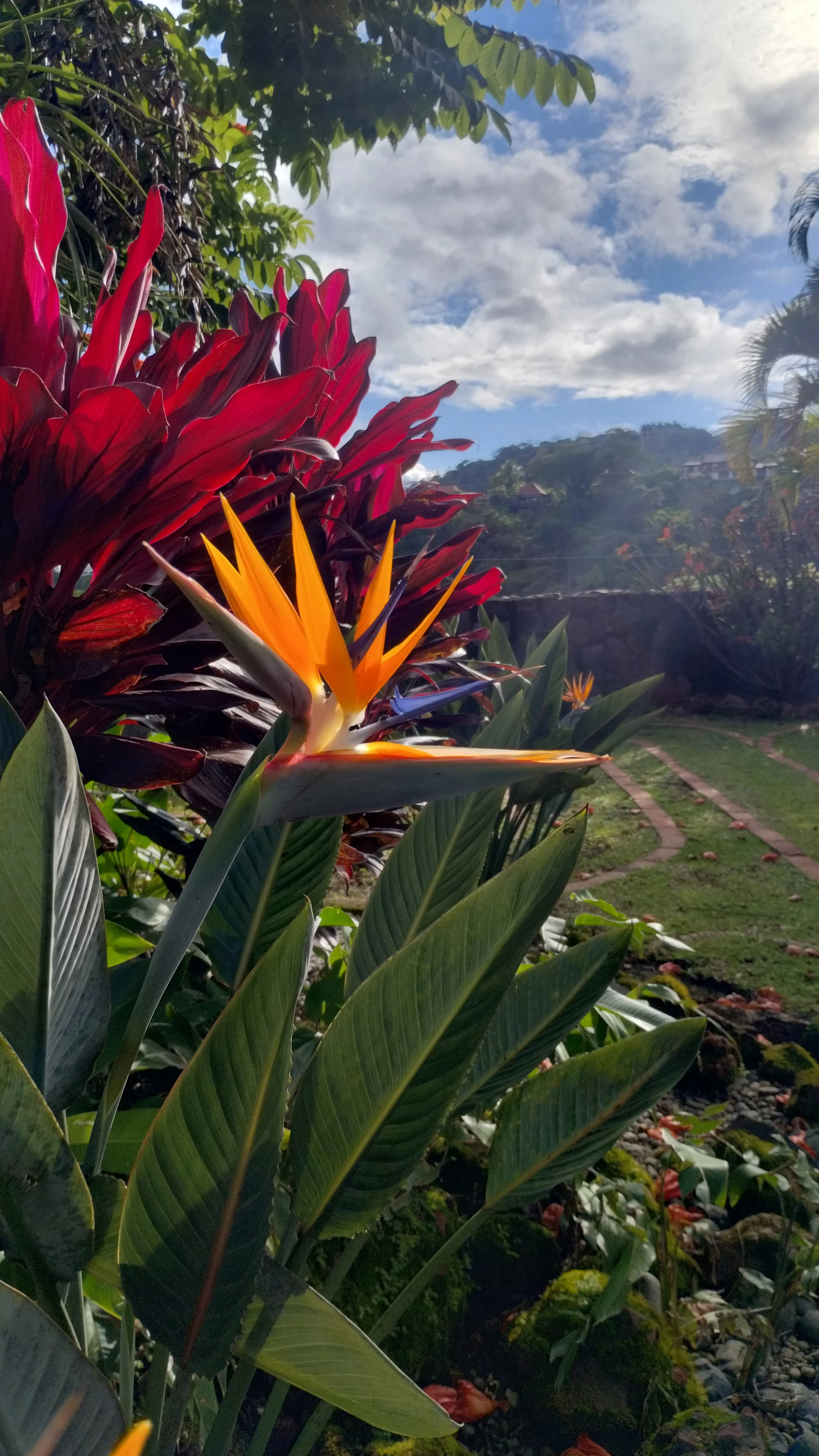 IMG_20251010_154129767_HDR.jpg