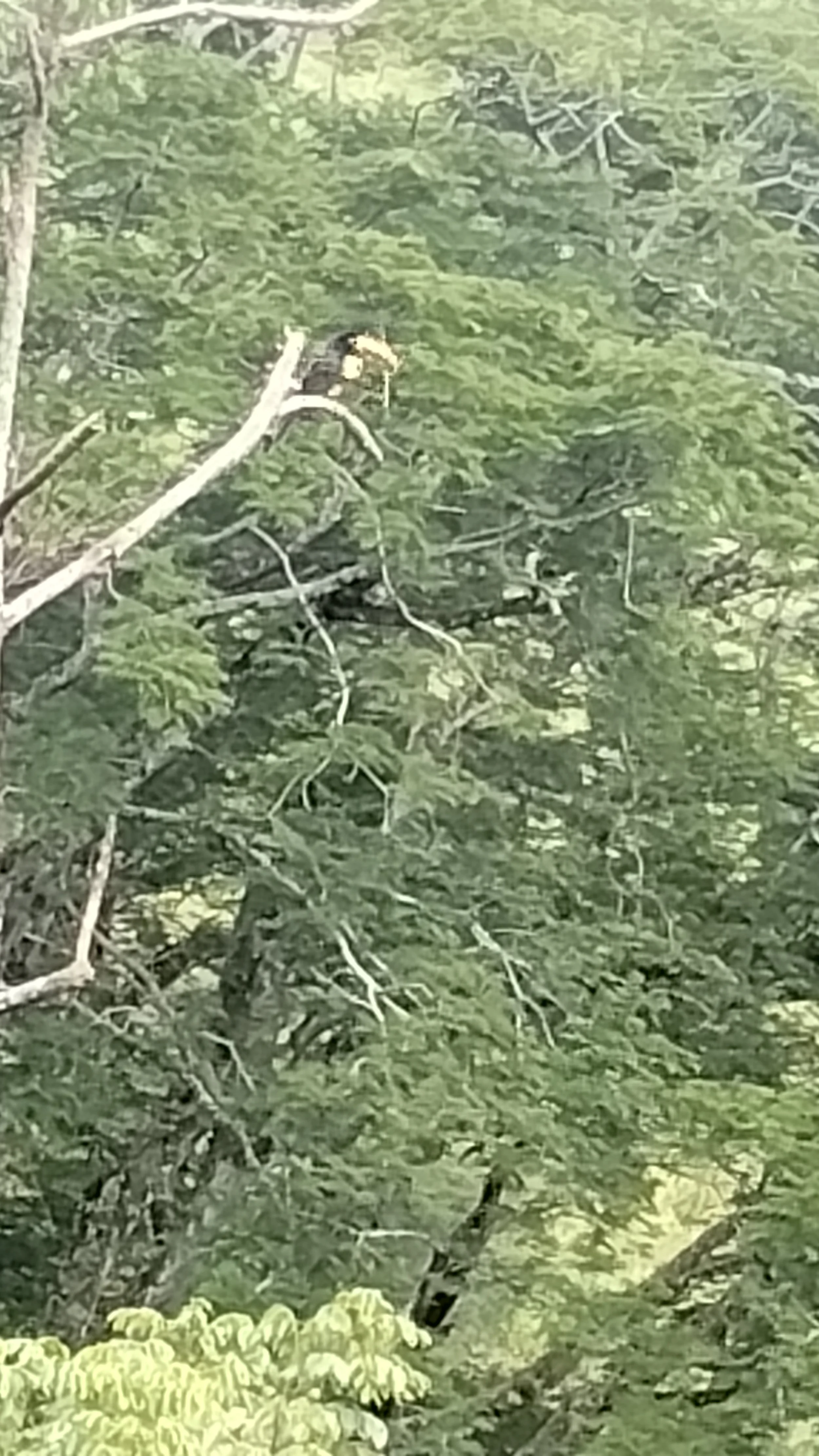 IMG_20251017_142428665.jpg