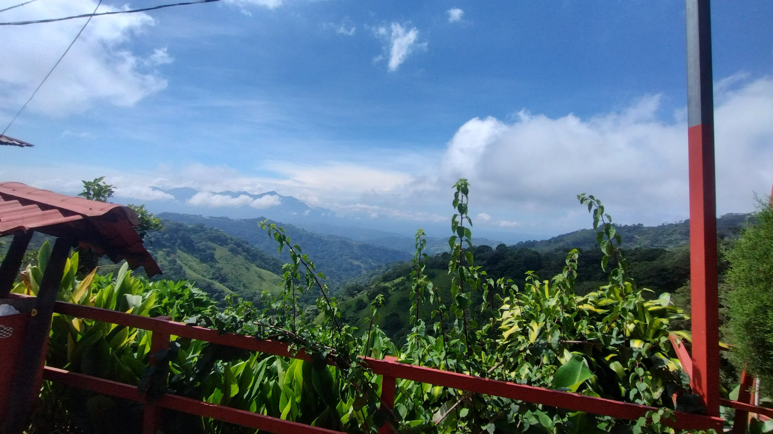 IMG_20251020_095151557_HDR.jpg