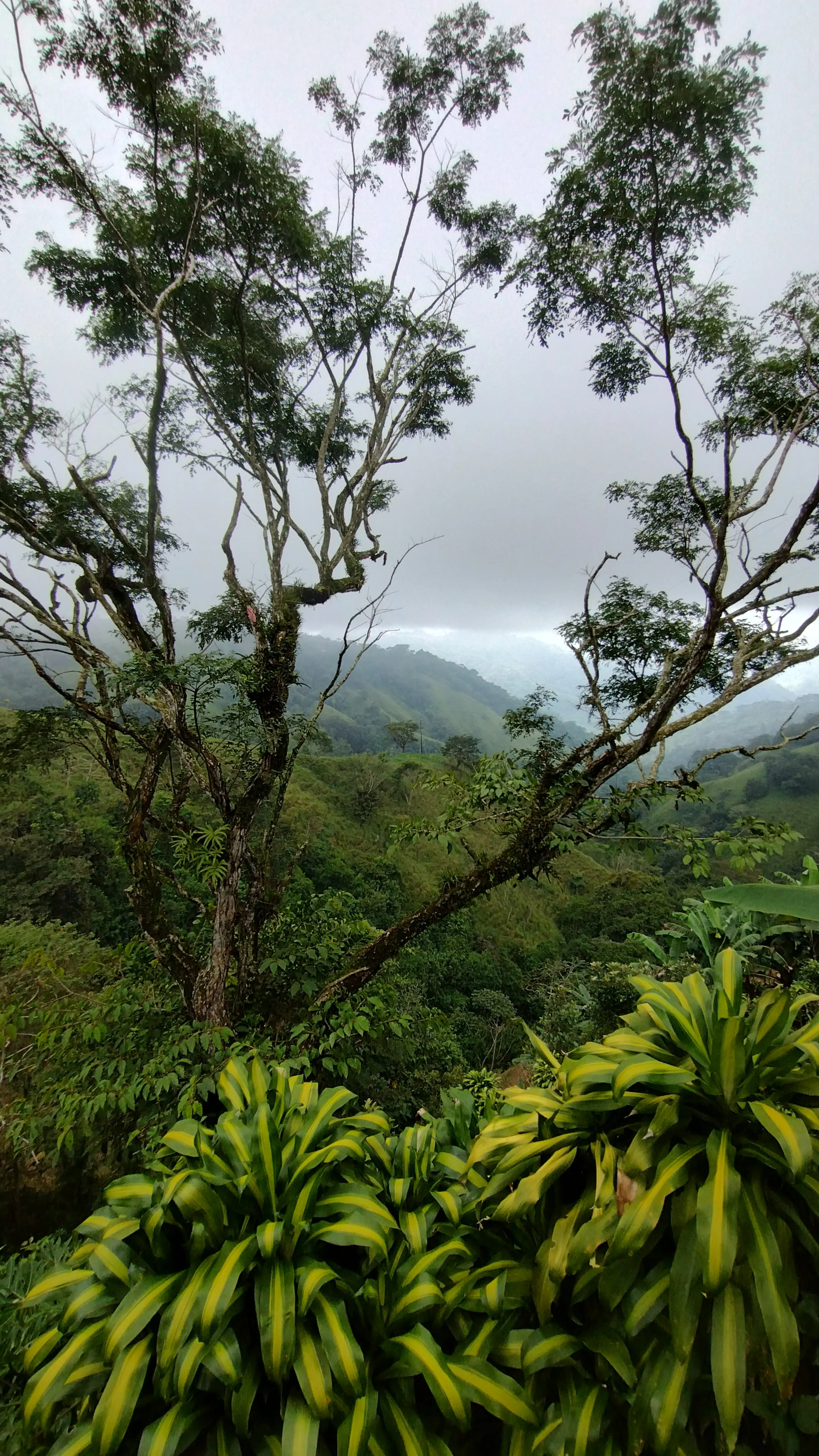IMG_20251020_112817695_HDR.jpg