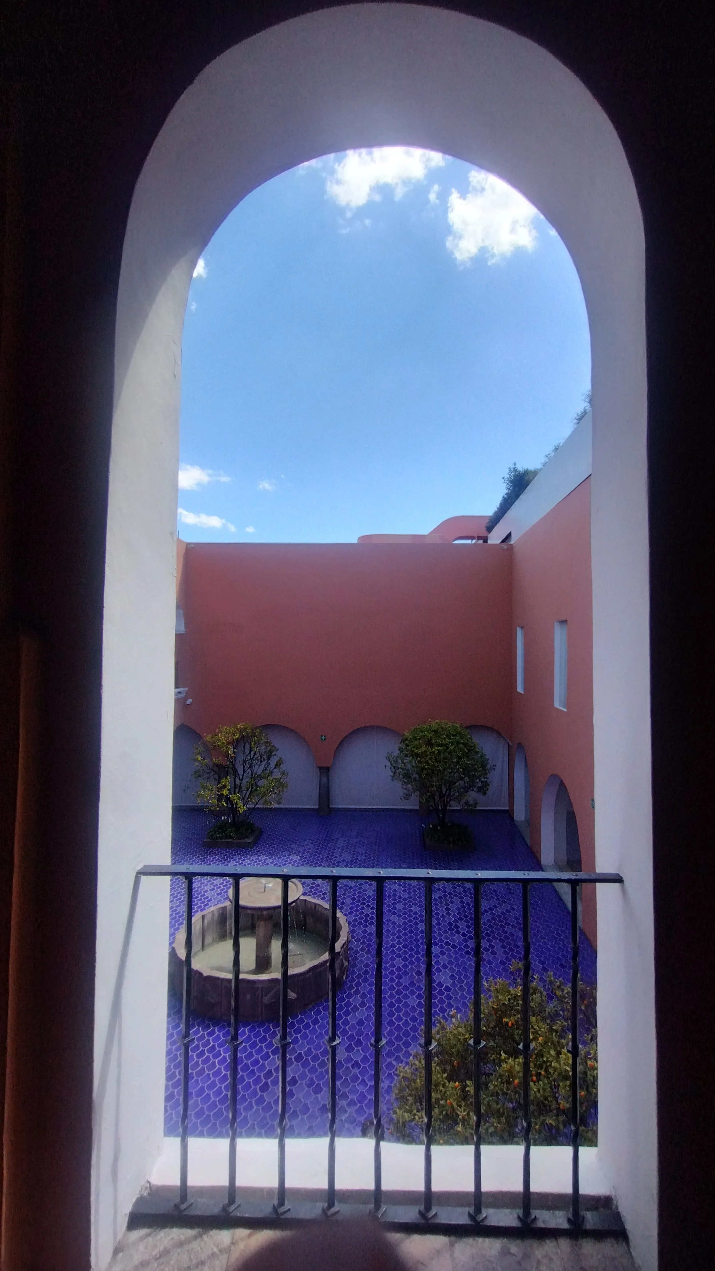 IMG_20251105_120115723_HDR.jpg