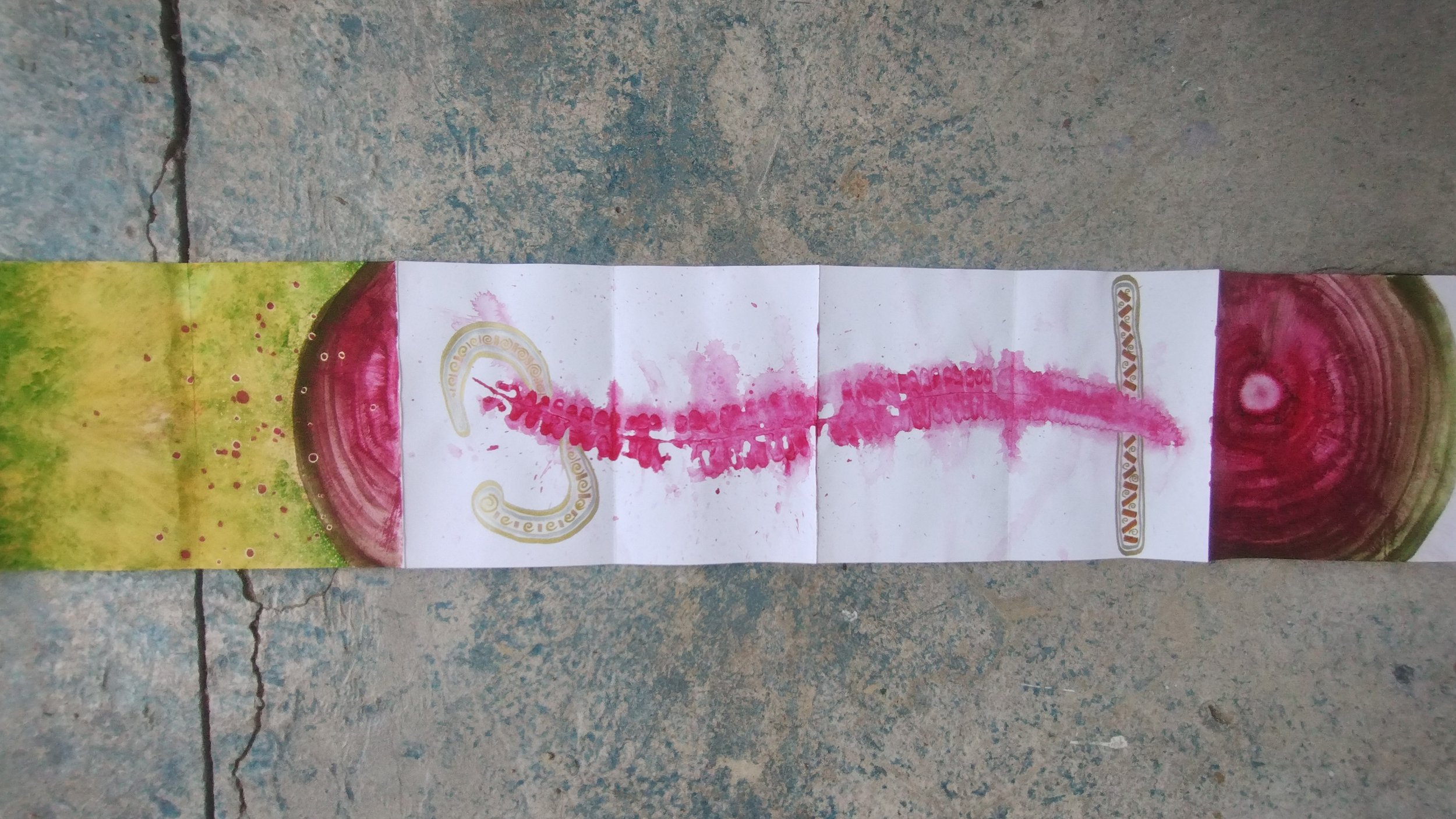 IMG_20251113_164749950.jpg