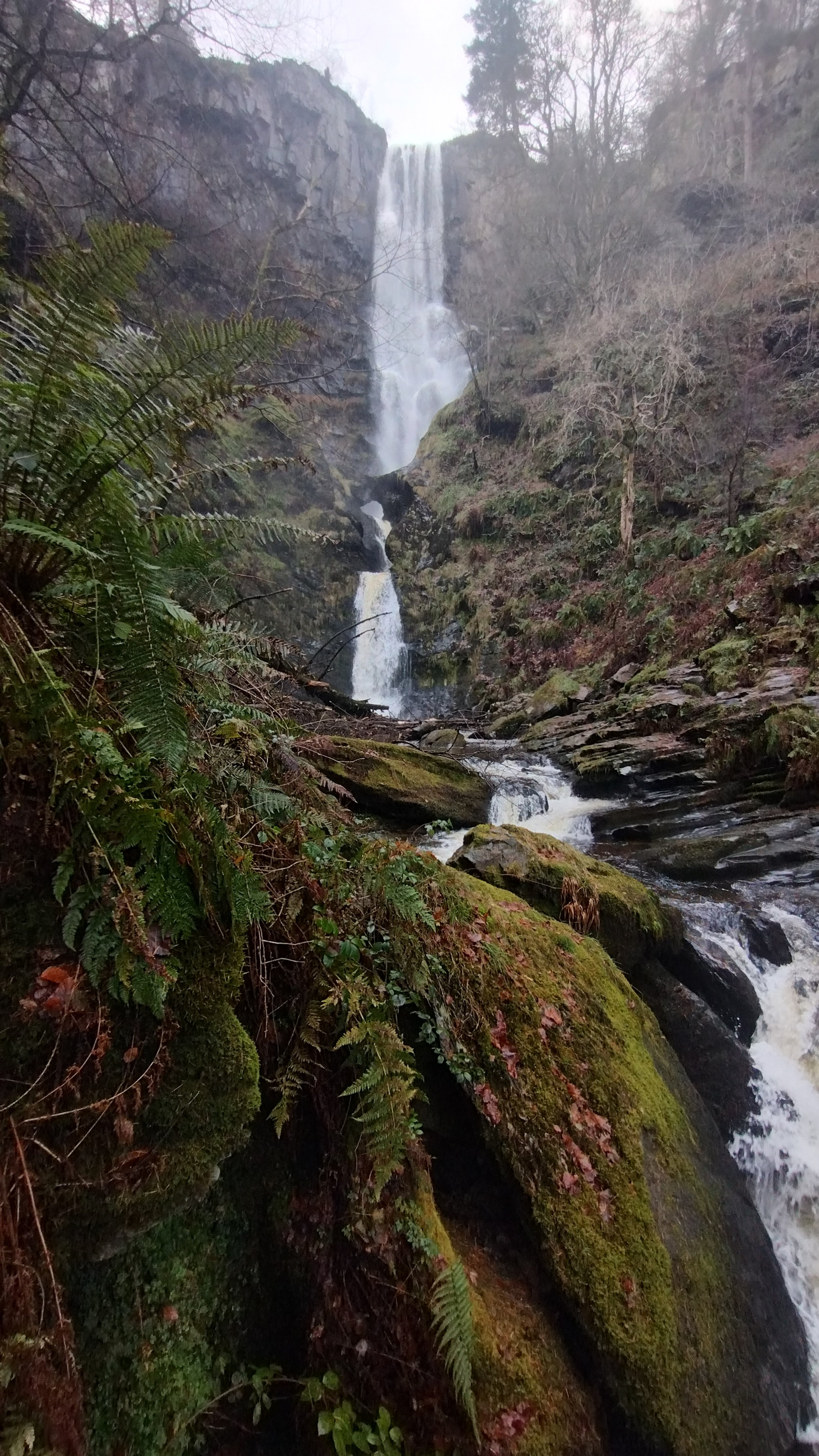 IMG_20251126_124136142_HDR.jpg