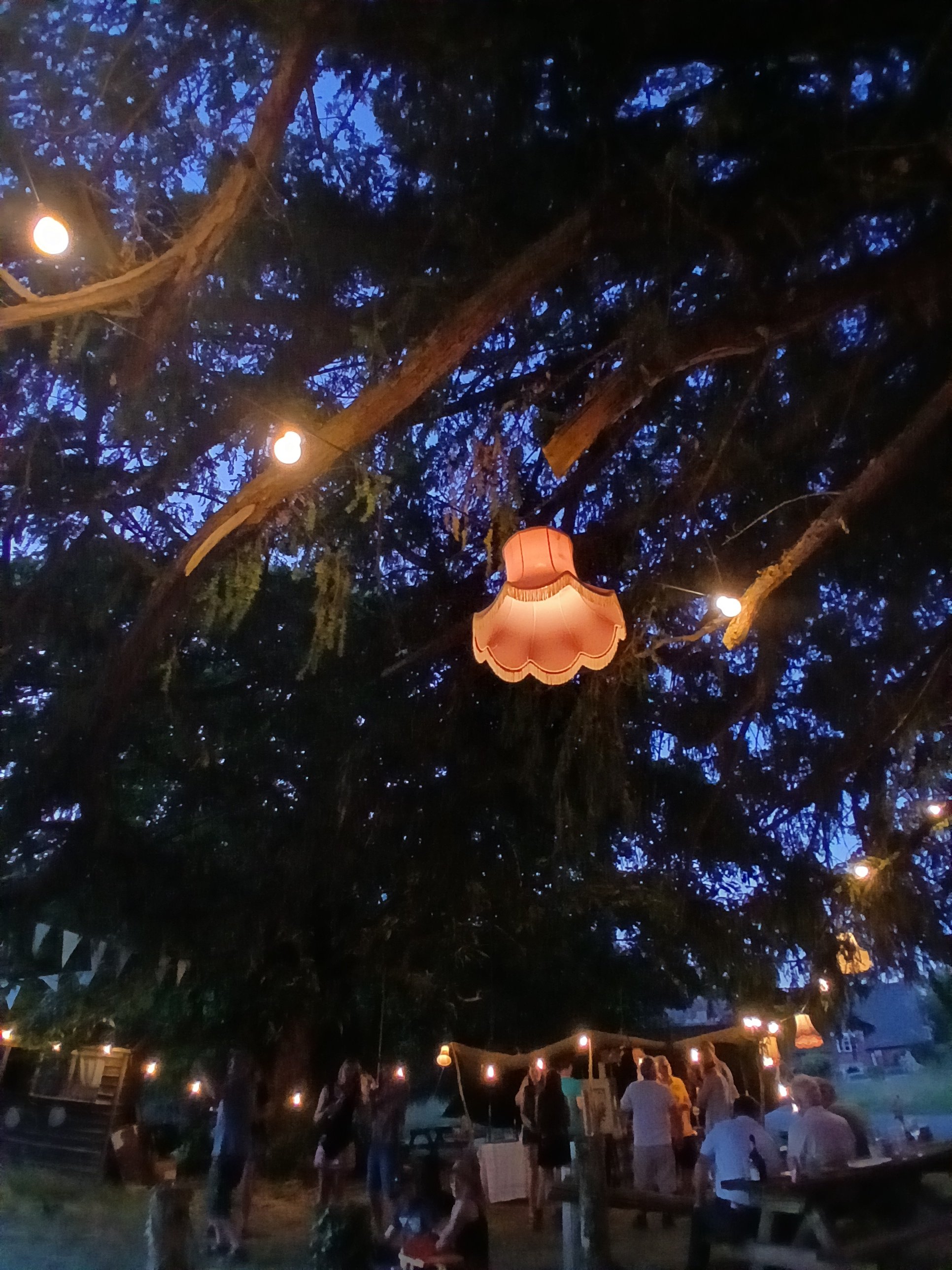 20260711_215103.jpg