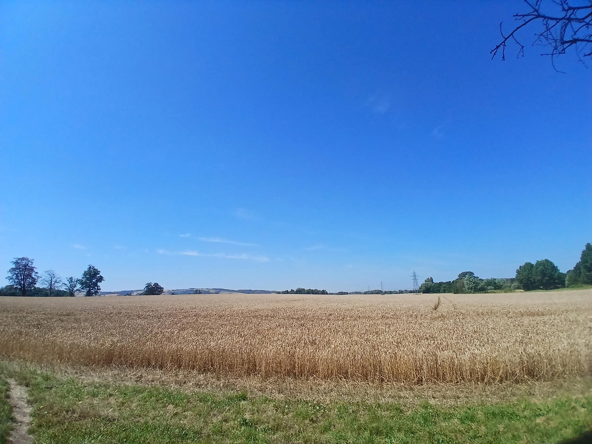 20260712_113155.jpg