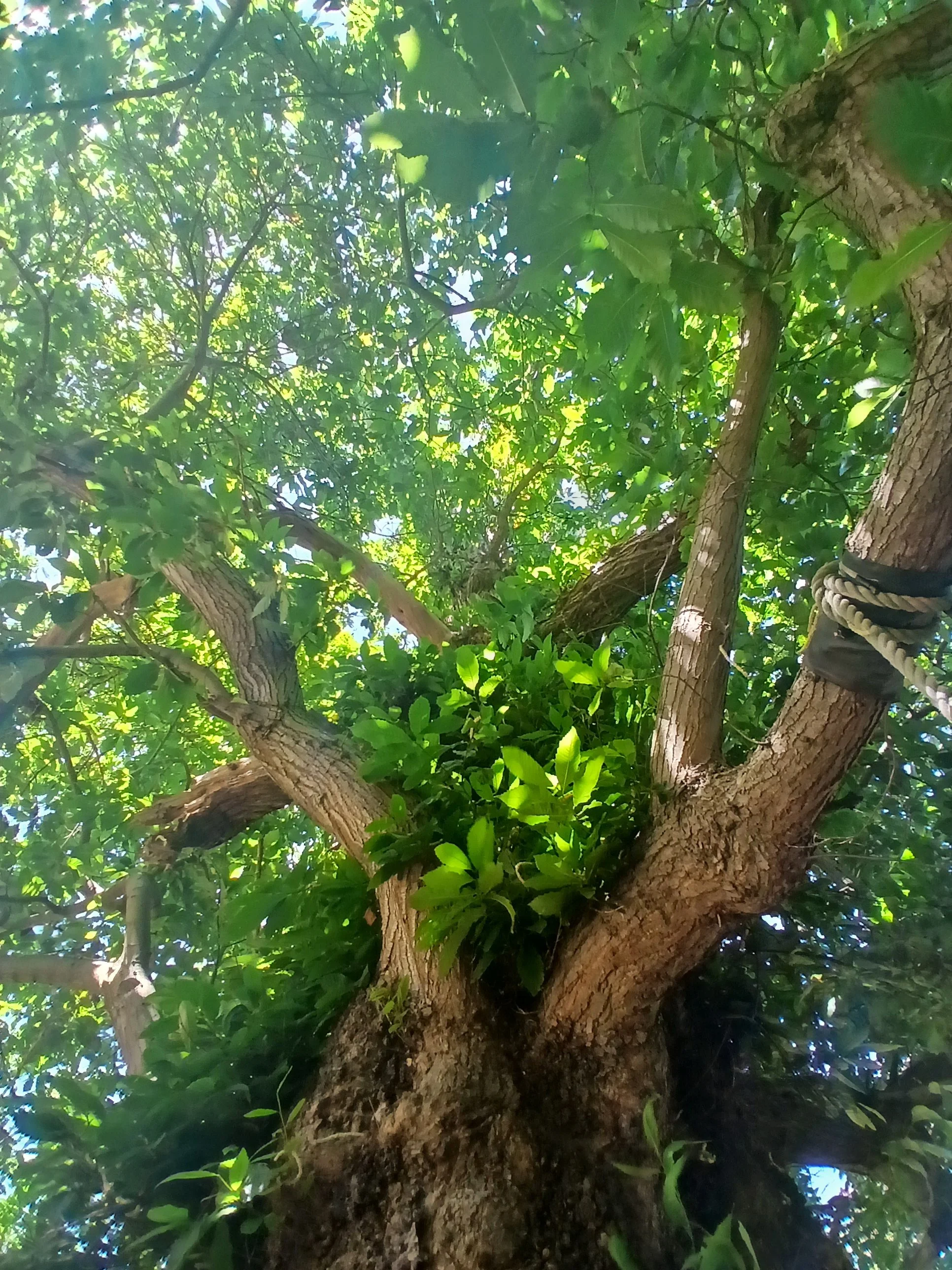 20260712_144333.jpg