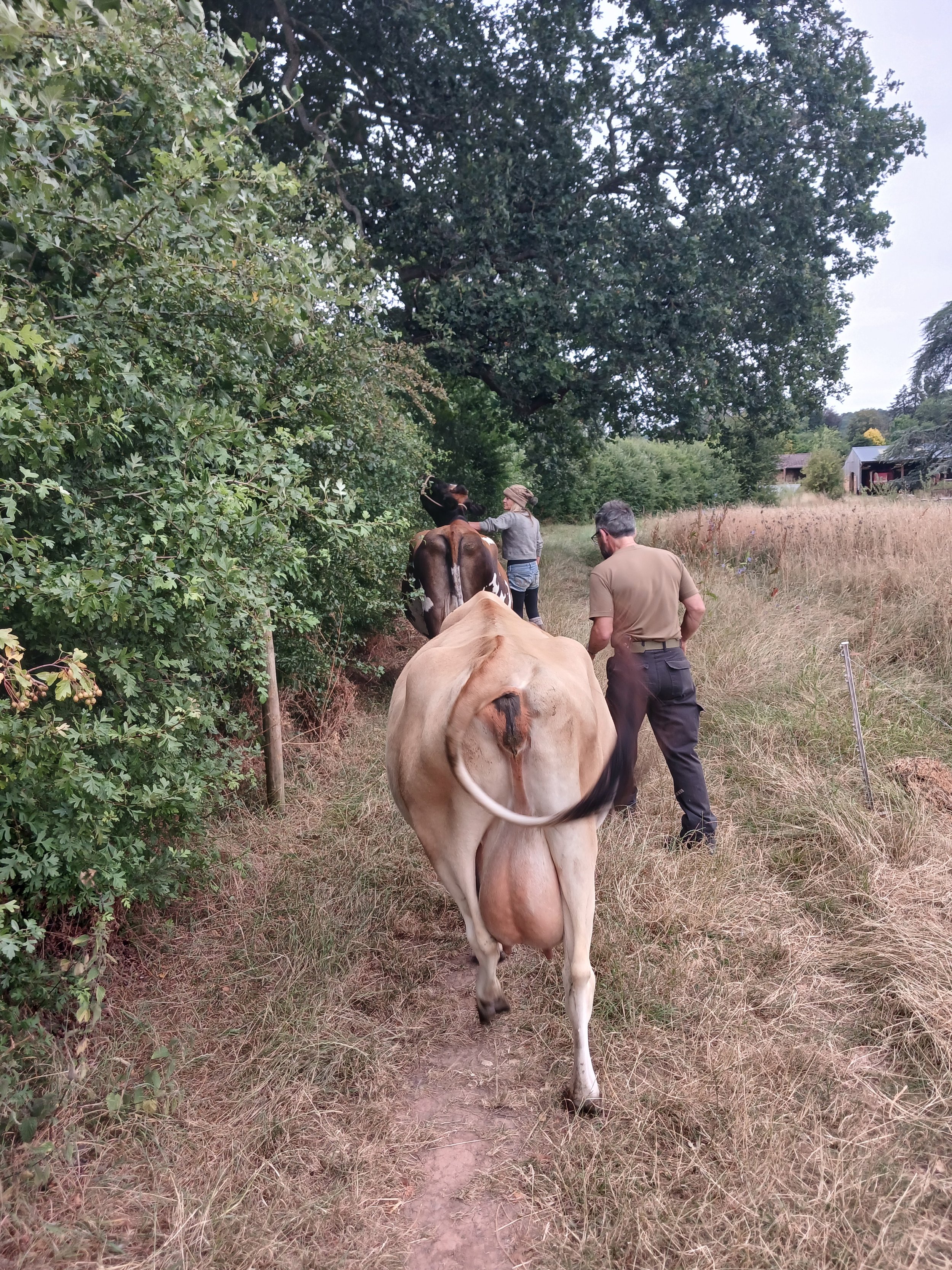 20260713_084401.jpg