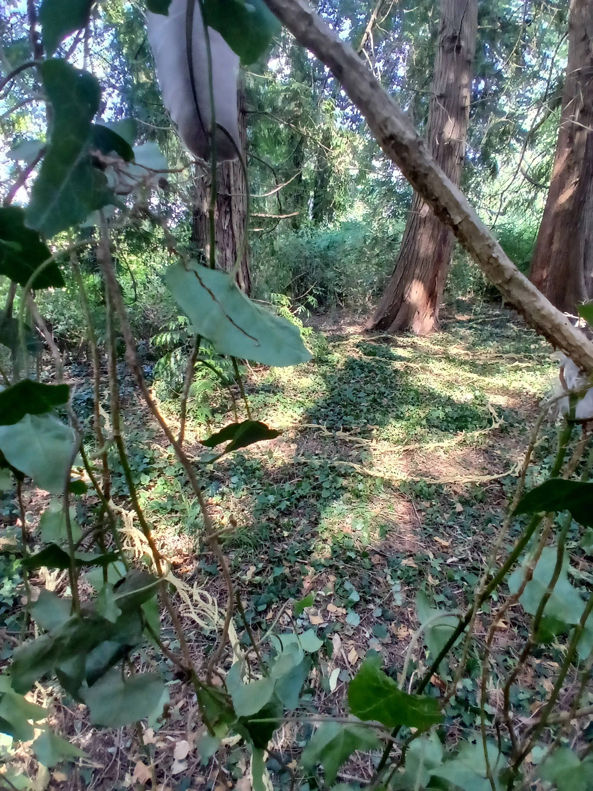 20260714_152711.jpg