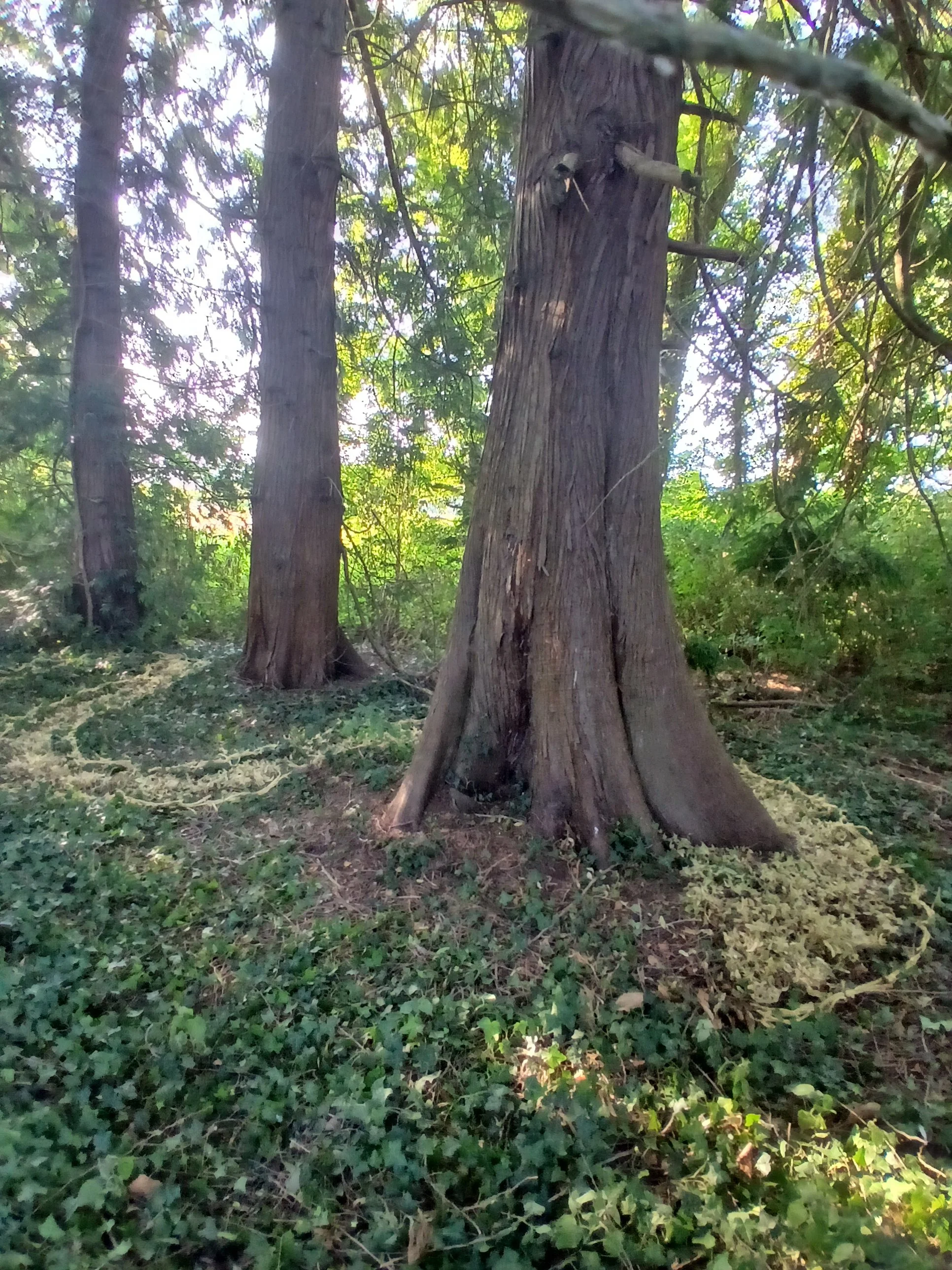 20260714_185220.jpg