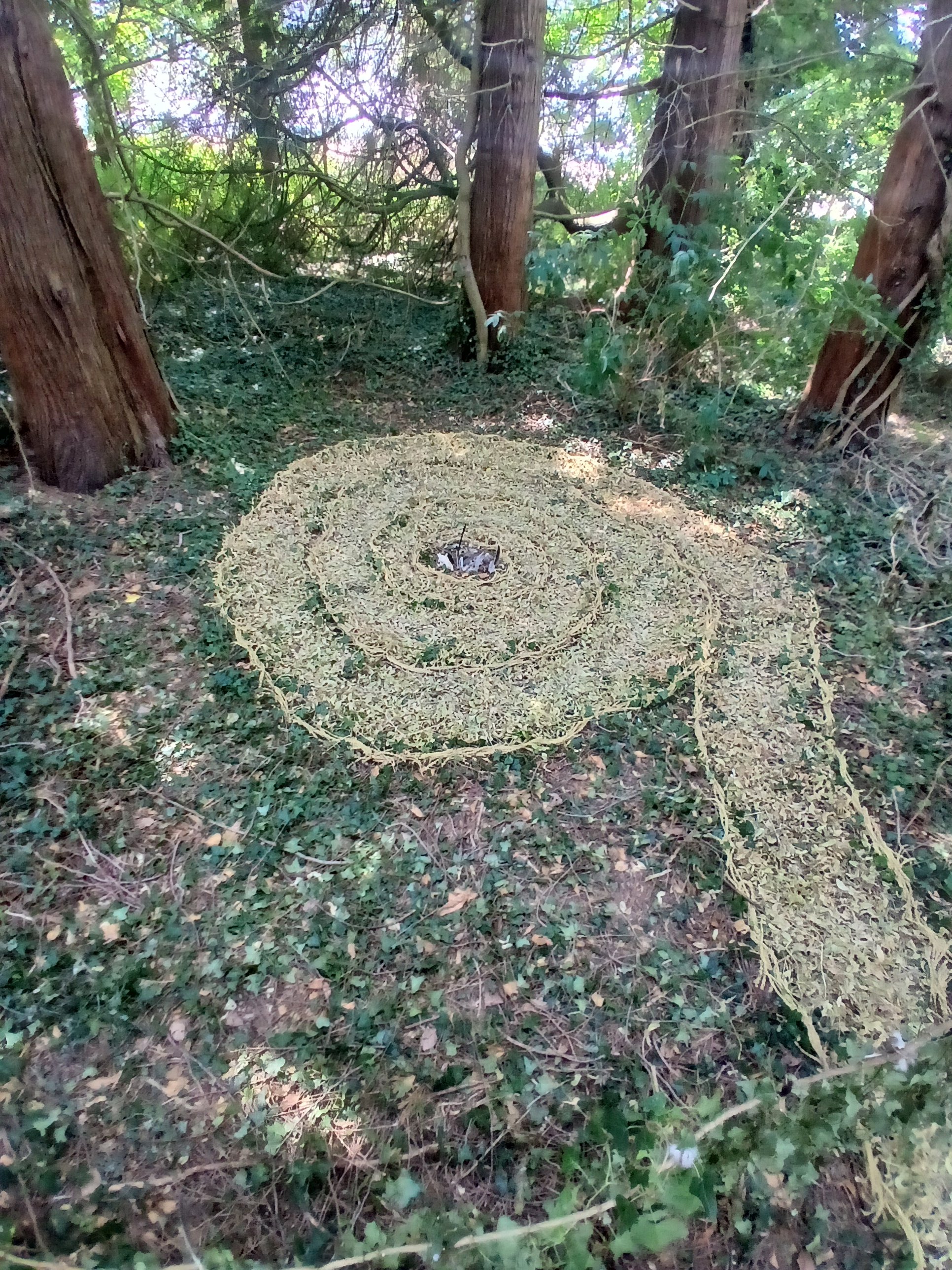 20260716_133904.jpg