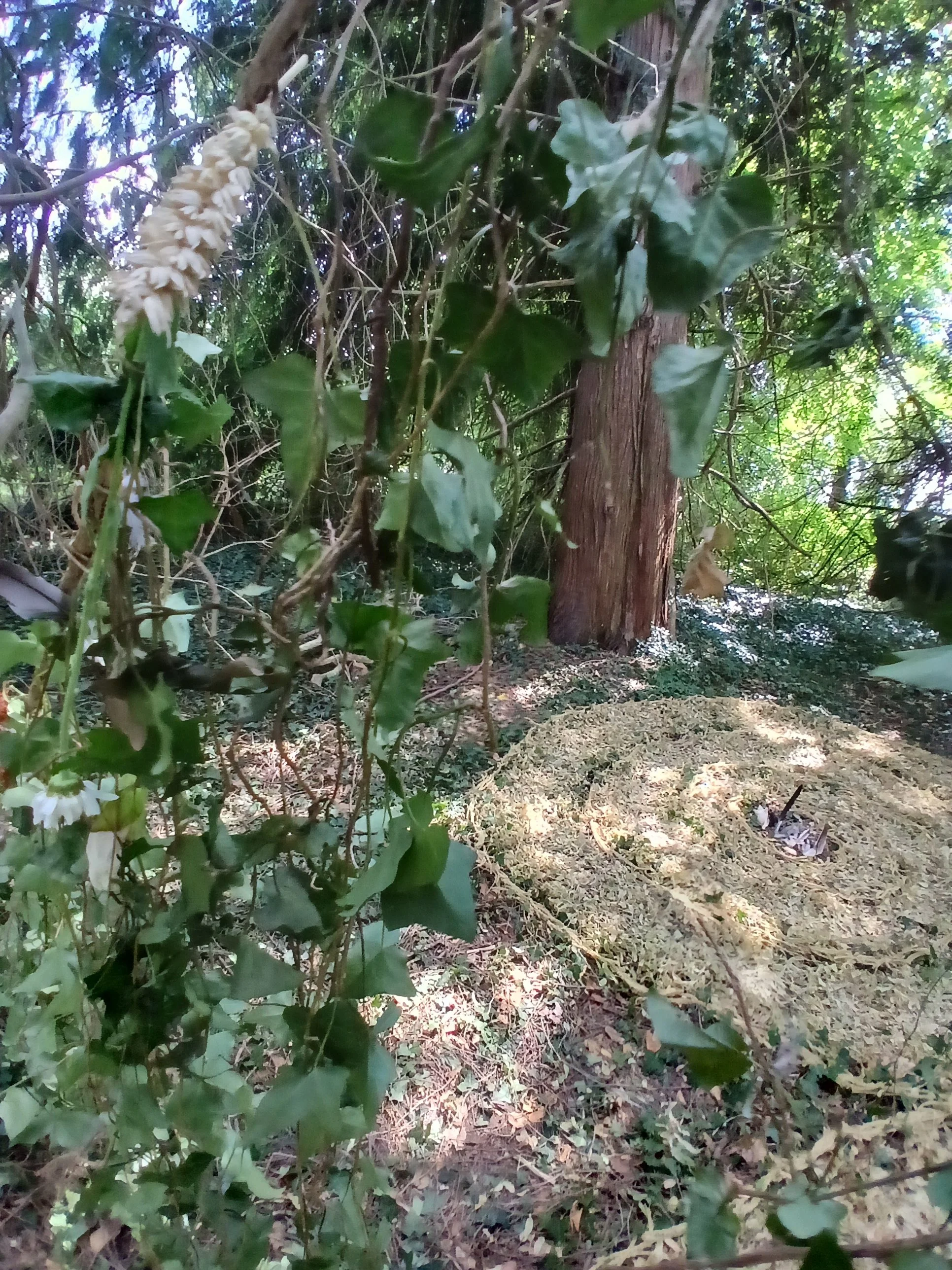 20260716_153252.jpg