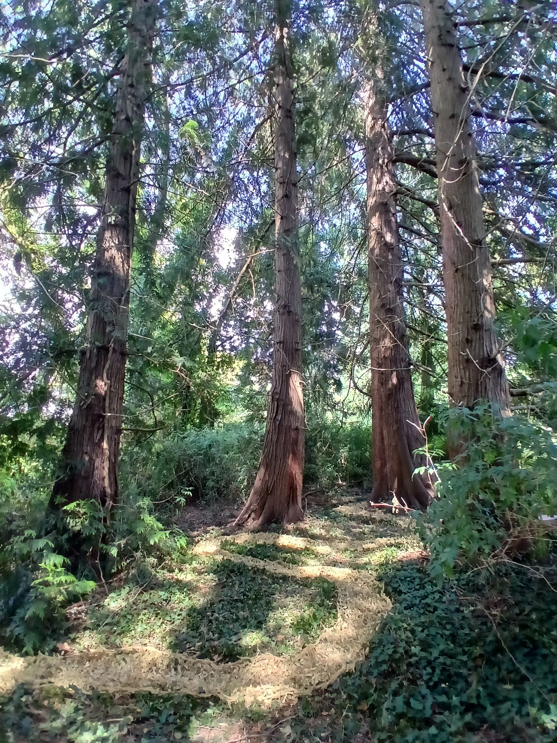 20260716_153245.jpg