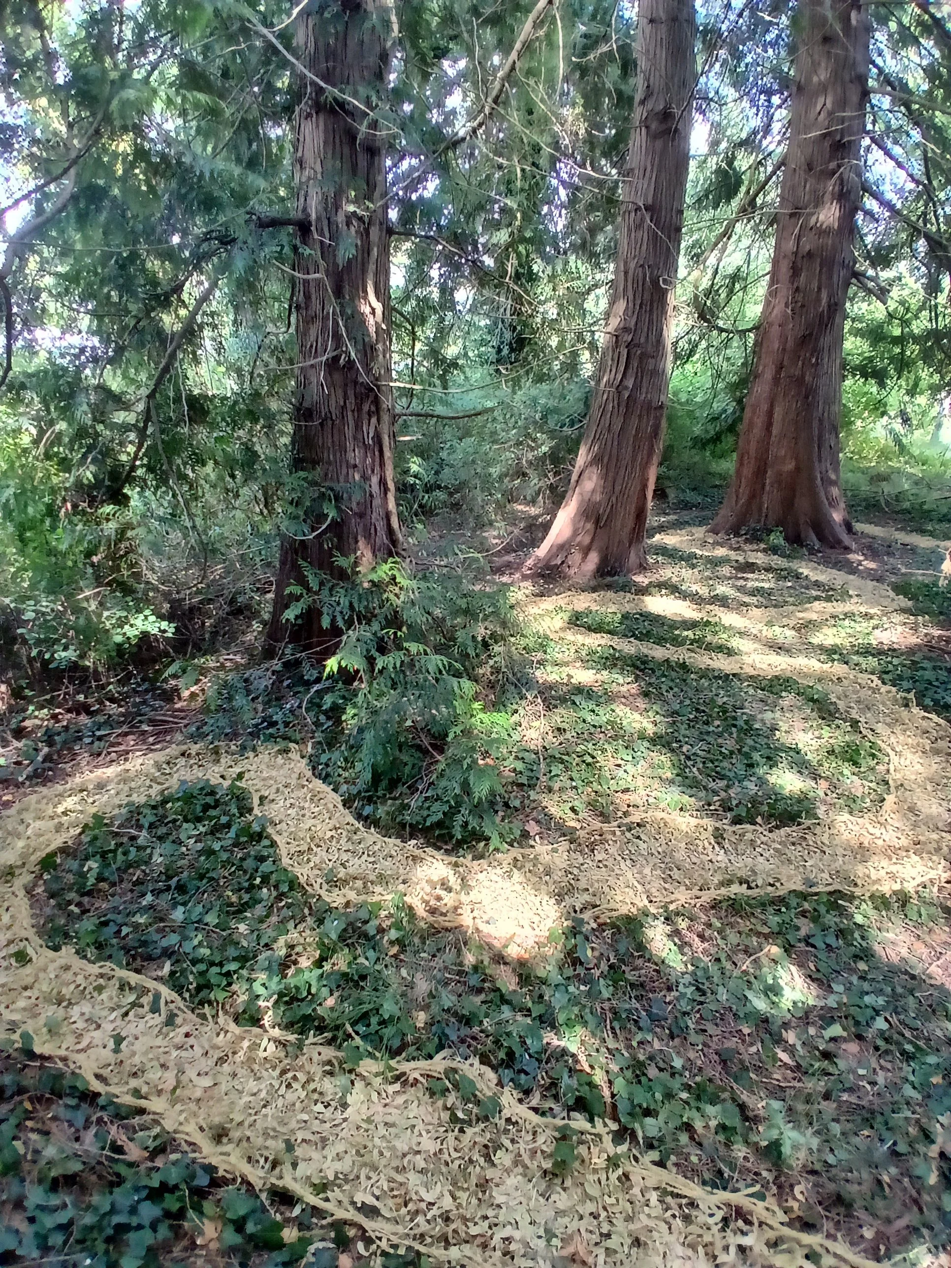 20260716_153352.jpg