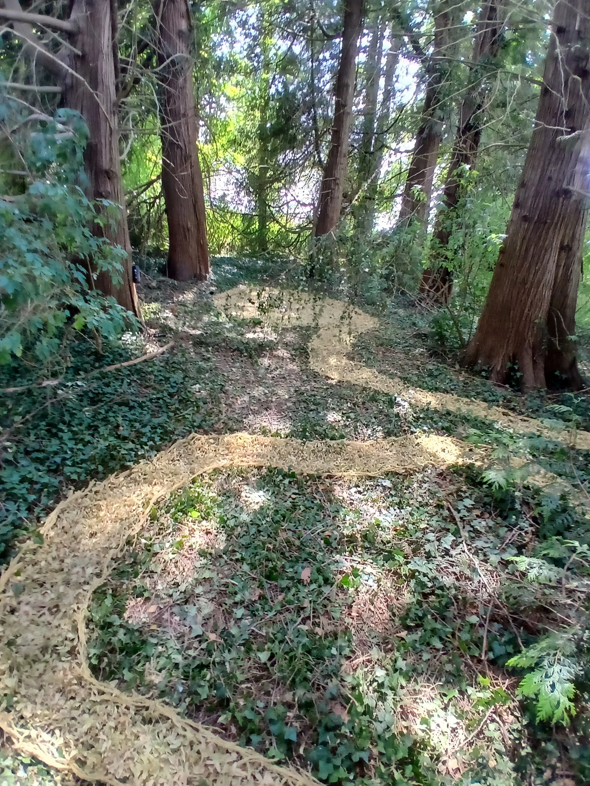 20260716_153441.jpg
