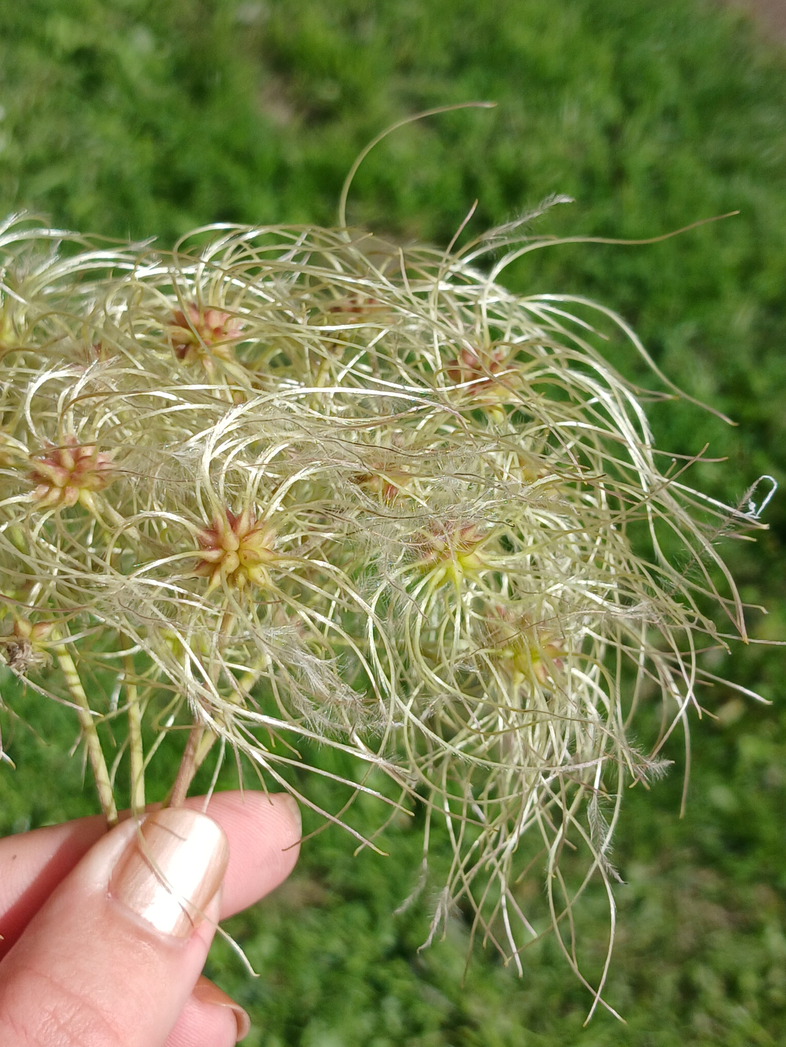 20260908_131453.jpg