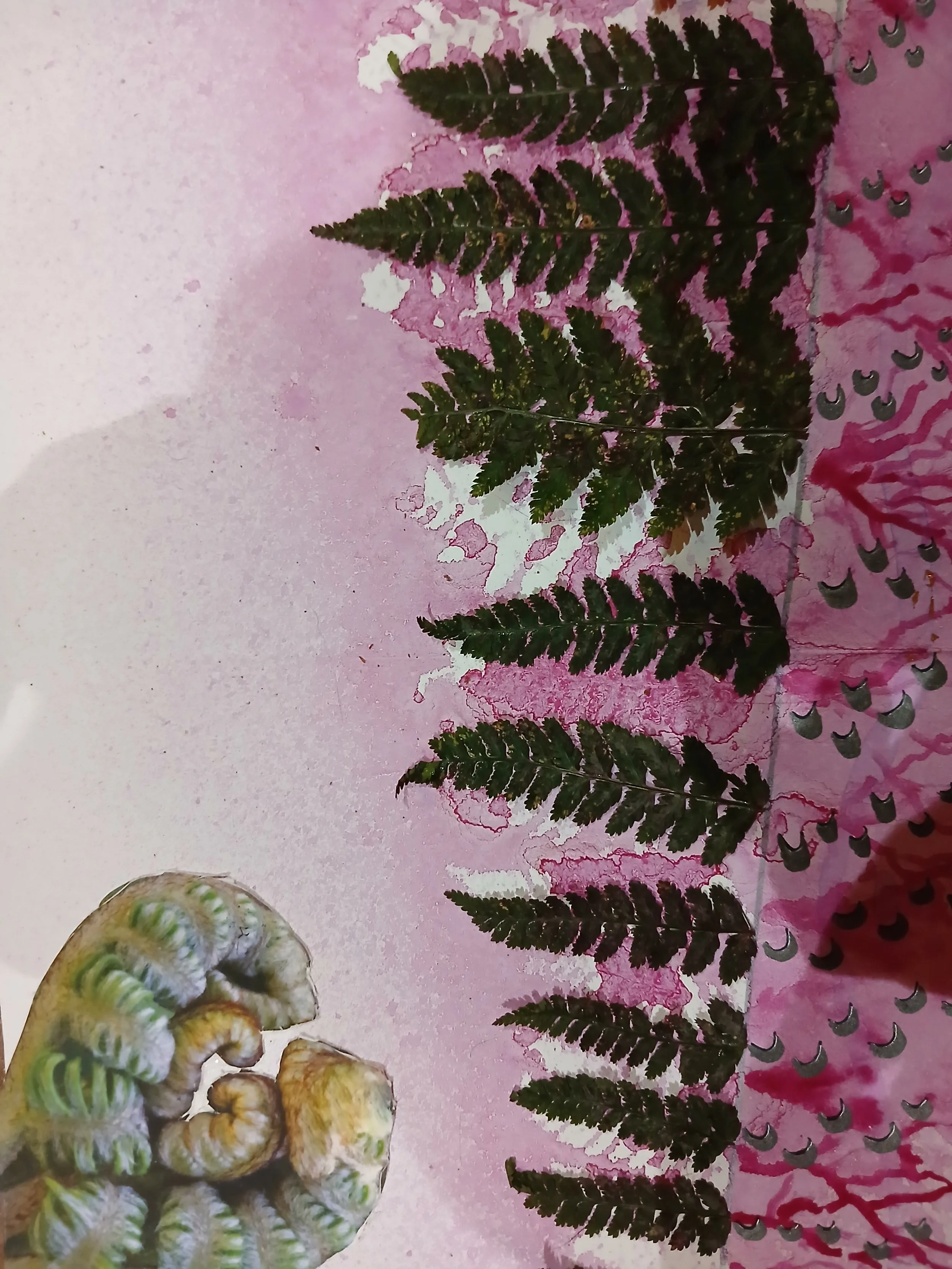 20260309_175301.jpg