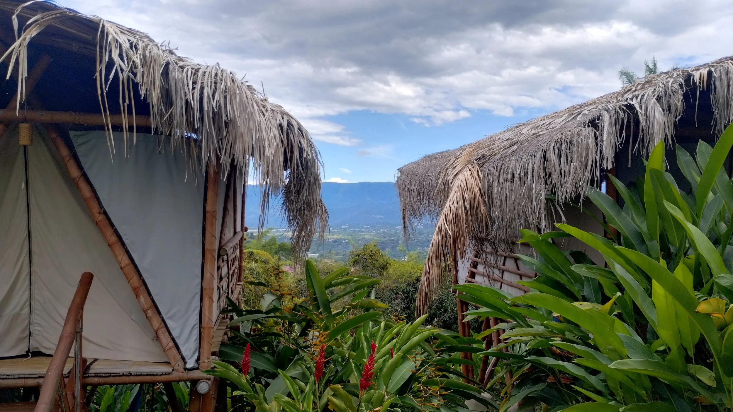 Cultivarte in Colombia