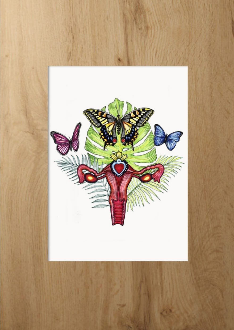 mariposas.jpeg