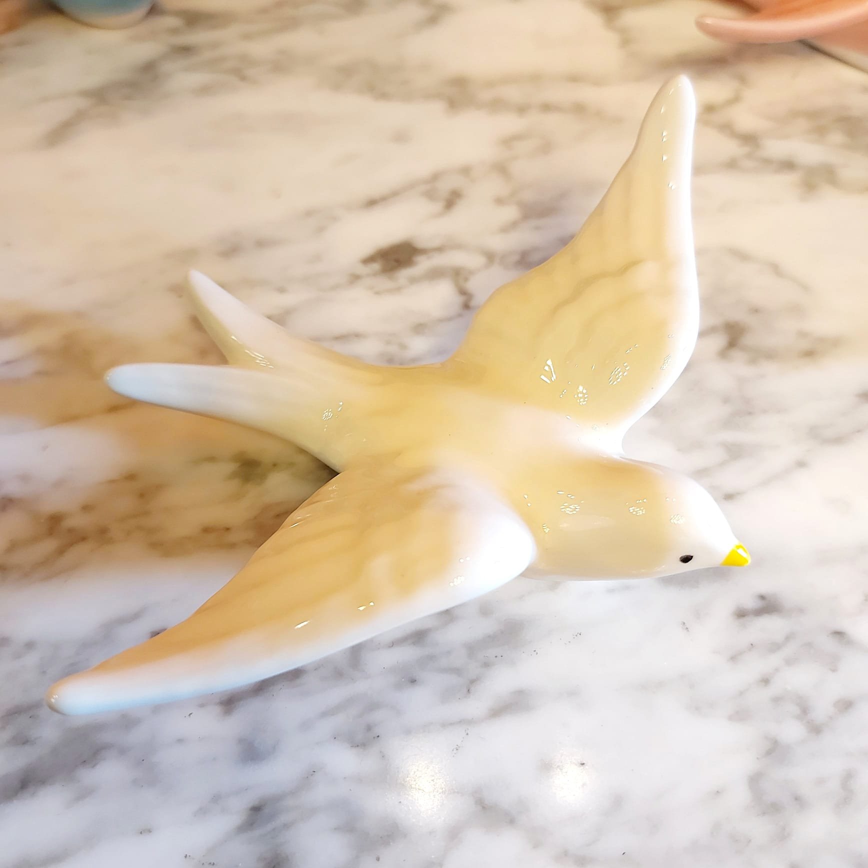 golondrina blanca peq.jpeg