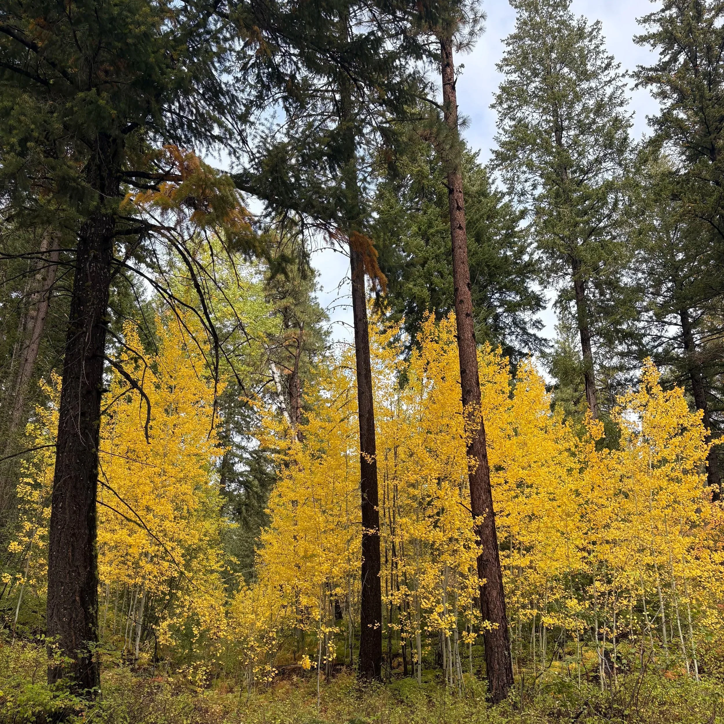 Fall Mini-Retreat