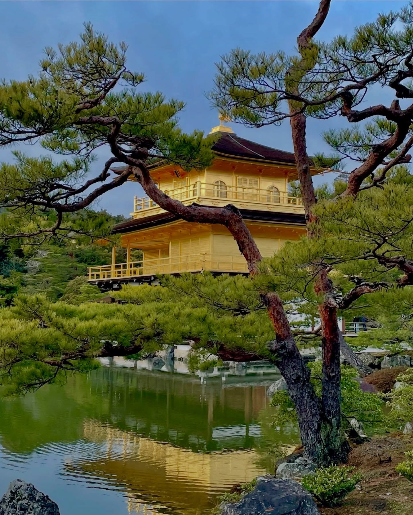 Black Sheep Travels is feeling Zen! 
.
.
Kyoto Contemplation at the Golden Pavilion House. Kyoto was the original seat of Japan&rsquo;s imperial court for eleven centuries before the court moved to Tokyo in 1869. Kyoto is considered the cultural capi