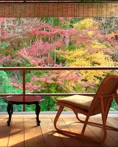 Black Sheep Travels to Shuzenji!
.
.
Rich in history, welcome to @asaba_ryokan which has been passed down through generations in the Asaba family for over five centuries. One of the most esteemed ryokans in Japan, built in 1484 when Yakuro Yukitada c