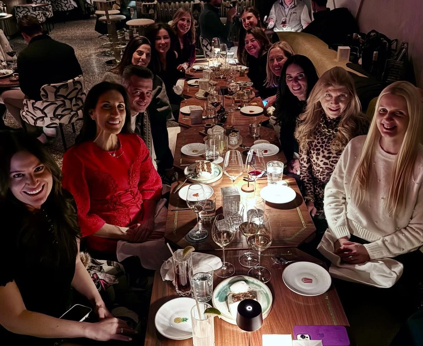 So much holiday cheer last night. Grateful for an unforgettable evening hosted by @wanderluxedestinations and @lushexperiences. Great conversations, an incredible NYC setting, and a whole lot of travel inspiration ✨🍸

@lftraveldesign 
@bberman373 
@