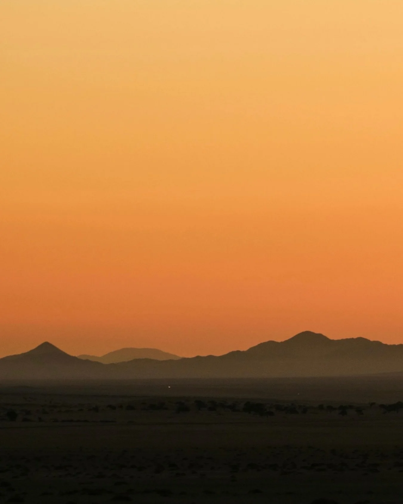 Stepping into a new era for Black Sheep Travels.

More stories, more inspiration, and the same trusted luxury travel expertise.