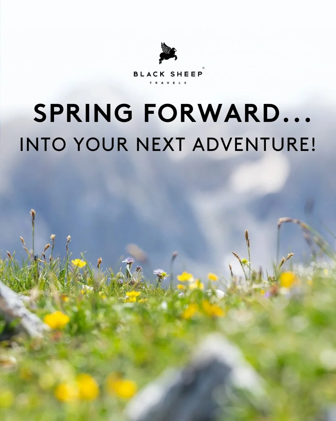 Spring forward&hellip; into your next adventure. 🌷

From Amsterdam&rsquo;s endless tulip fields to Japan&rsquo;s iconic cherry blossoms,  new life on safari, and seaside relaxation in Anguilla, spring travel is filled with moments you can only exper